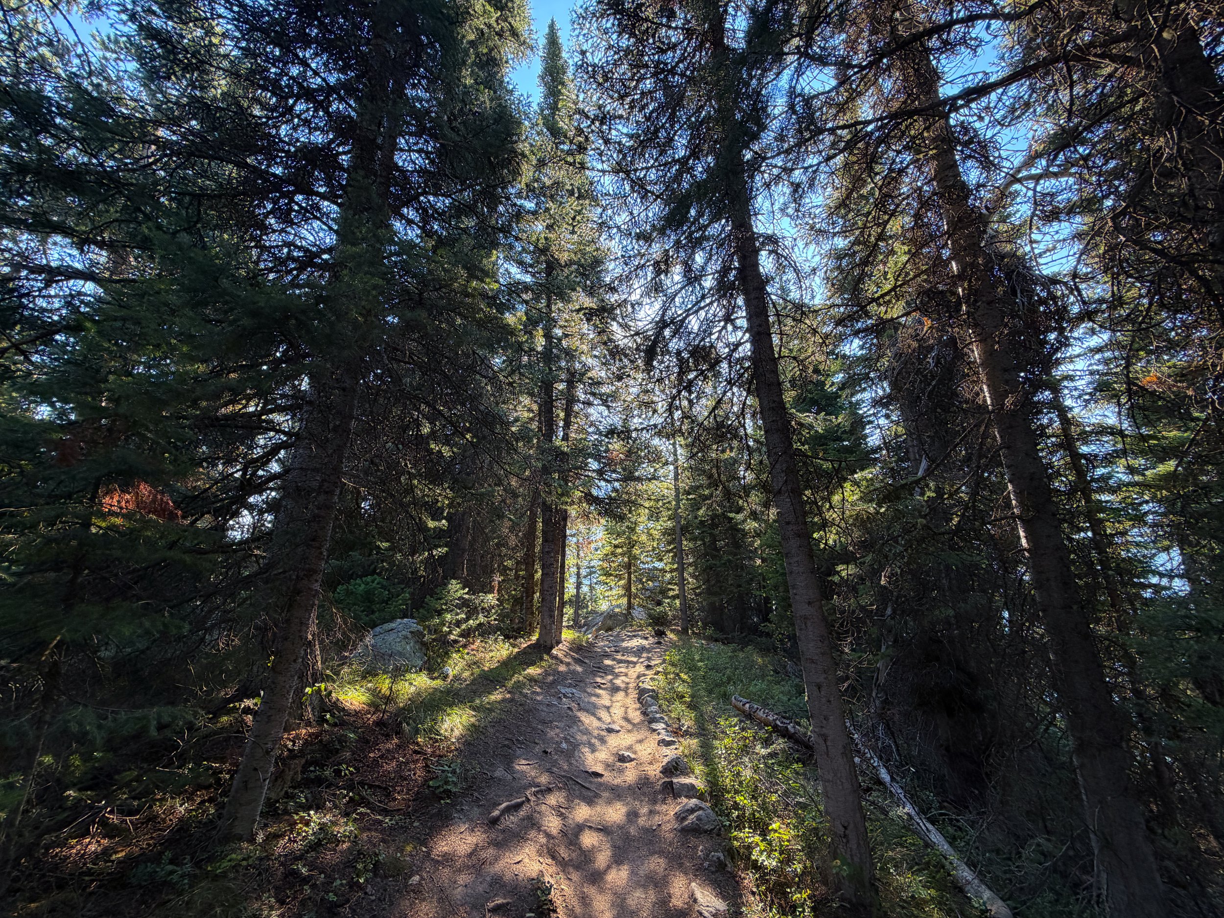 Jenny Lake Loop Trail Grand Teton National Park Wyoming