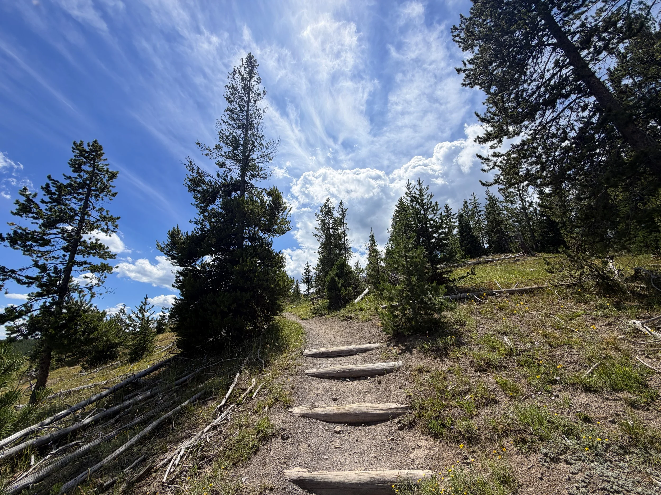 West Thumb Overlook Loop Trail Yellowstone National Park Wyoming