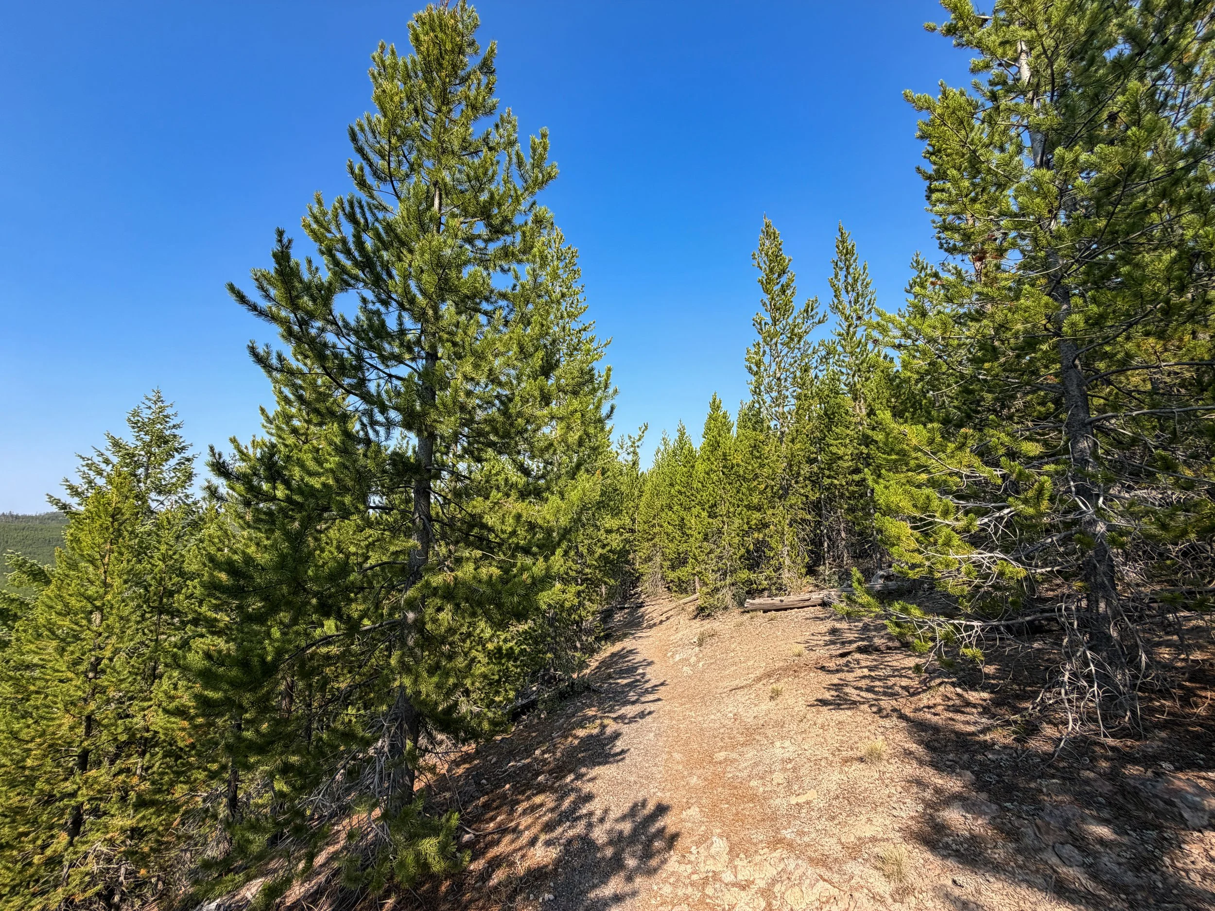 Mystic Falls Loop Trail Yellowstone National Park Wyoming