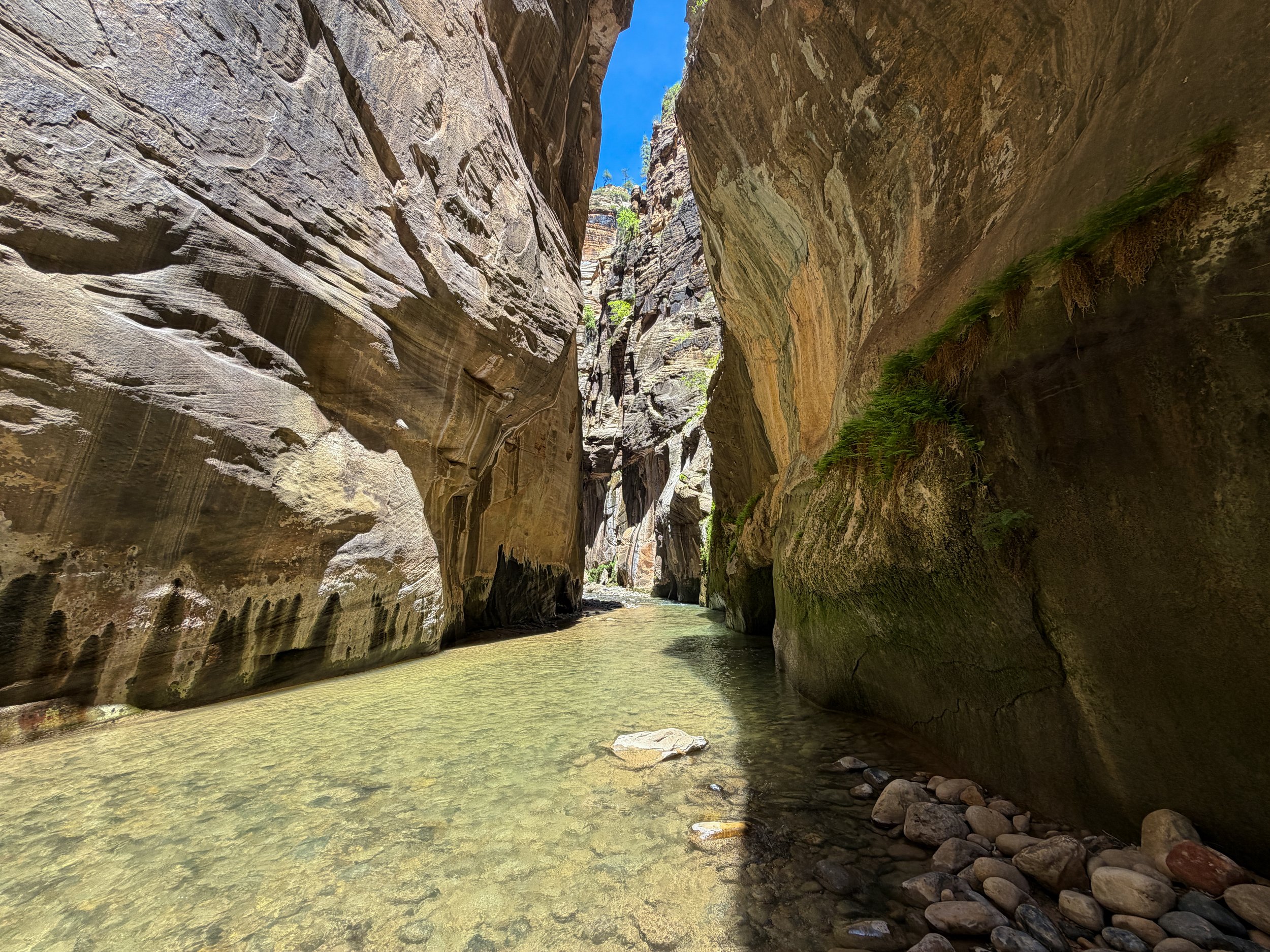 The Narrows Zion National Park Utah