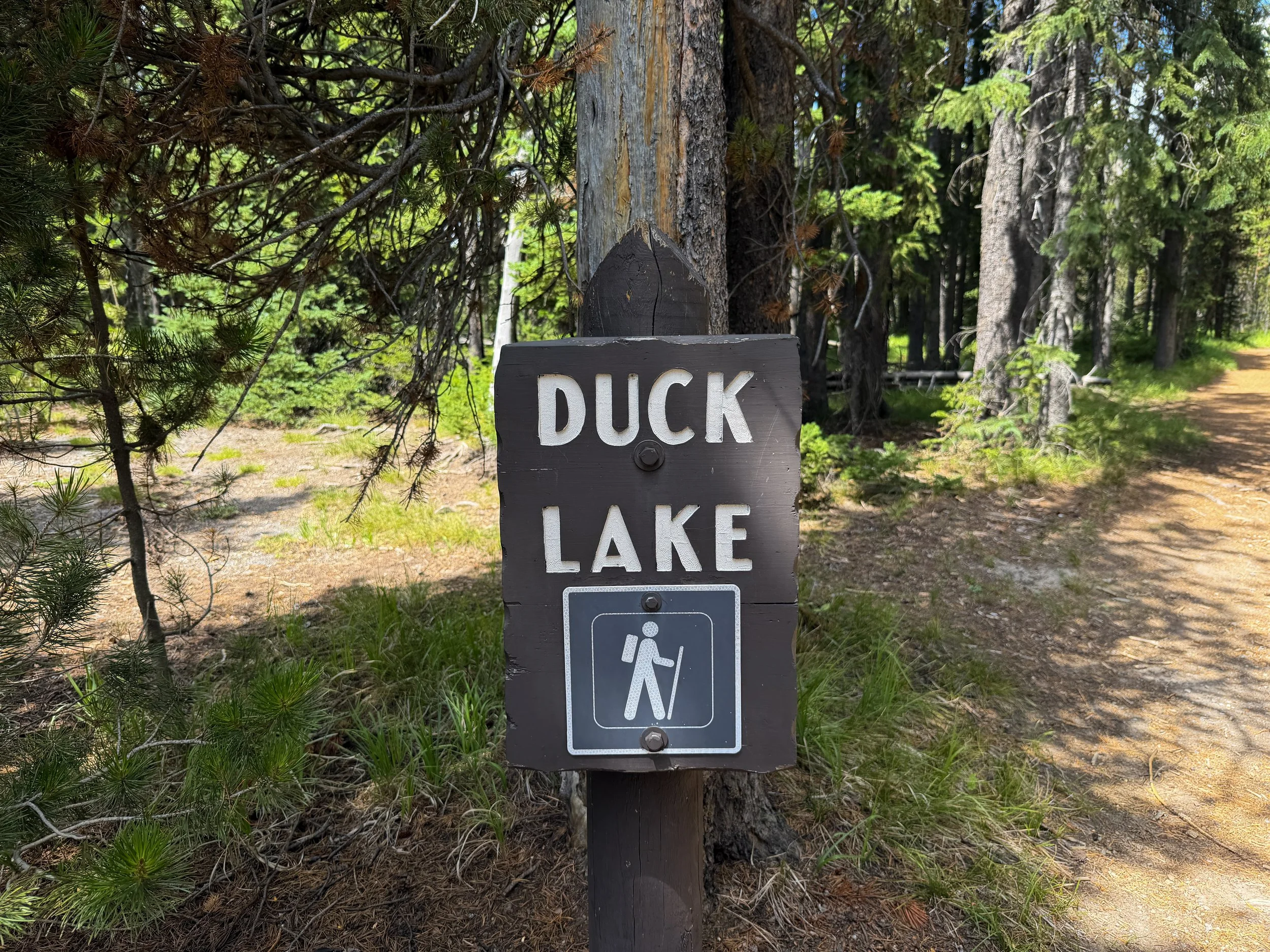 Duck Lake Trail Yellowstone National Park Wyoming