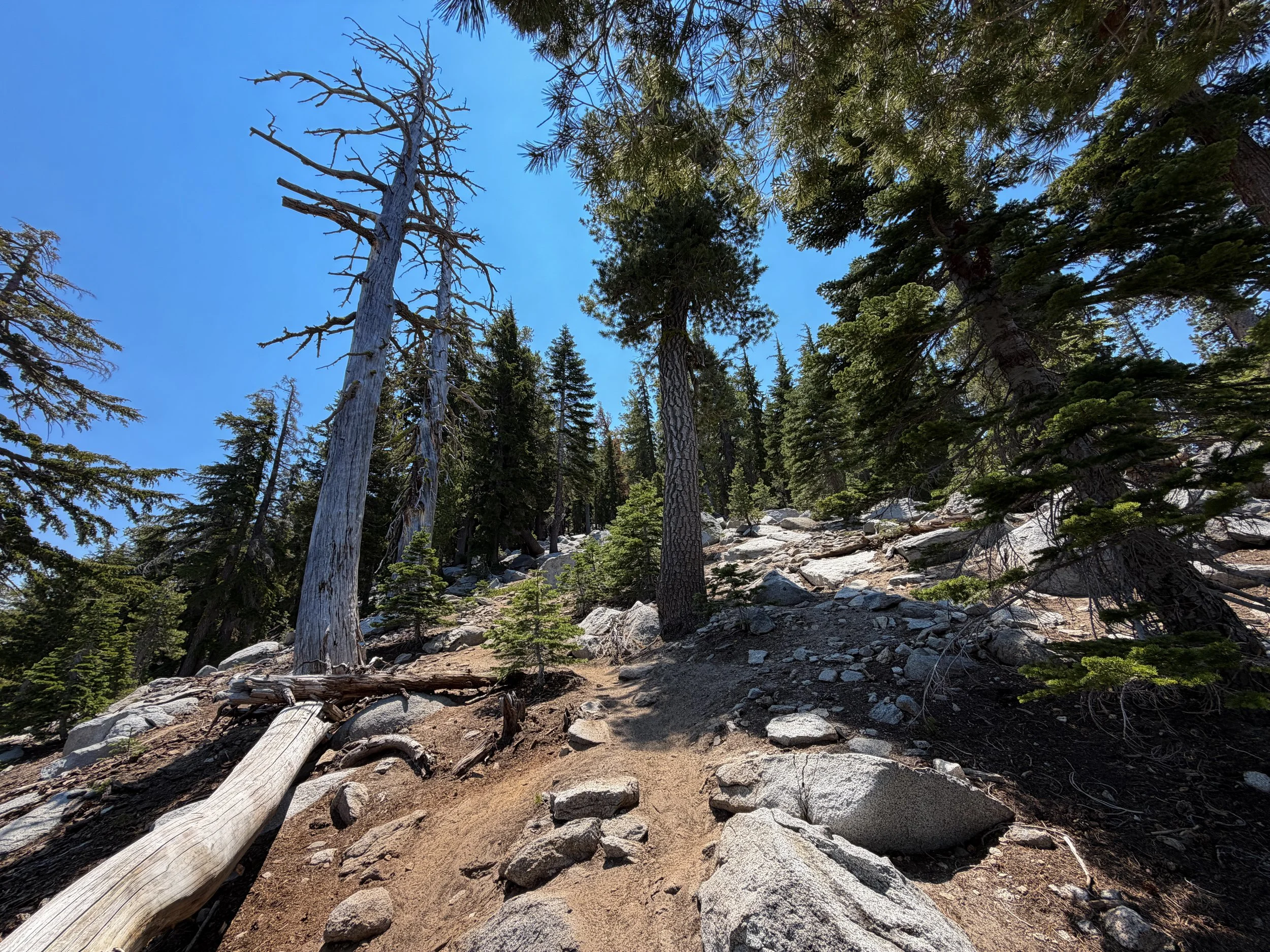 Maggies Peak Trail Lake Tahoe California