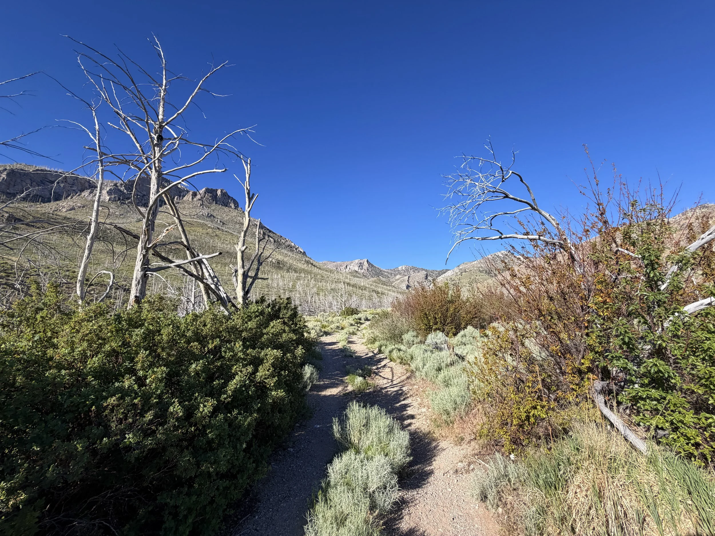 Lexington Arch Trail Great Basin National Park Nevada