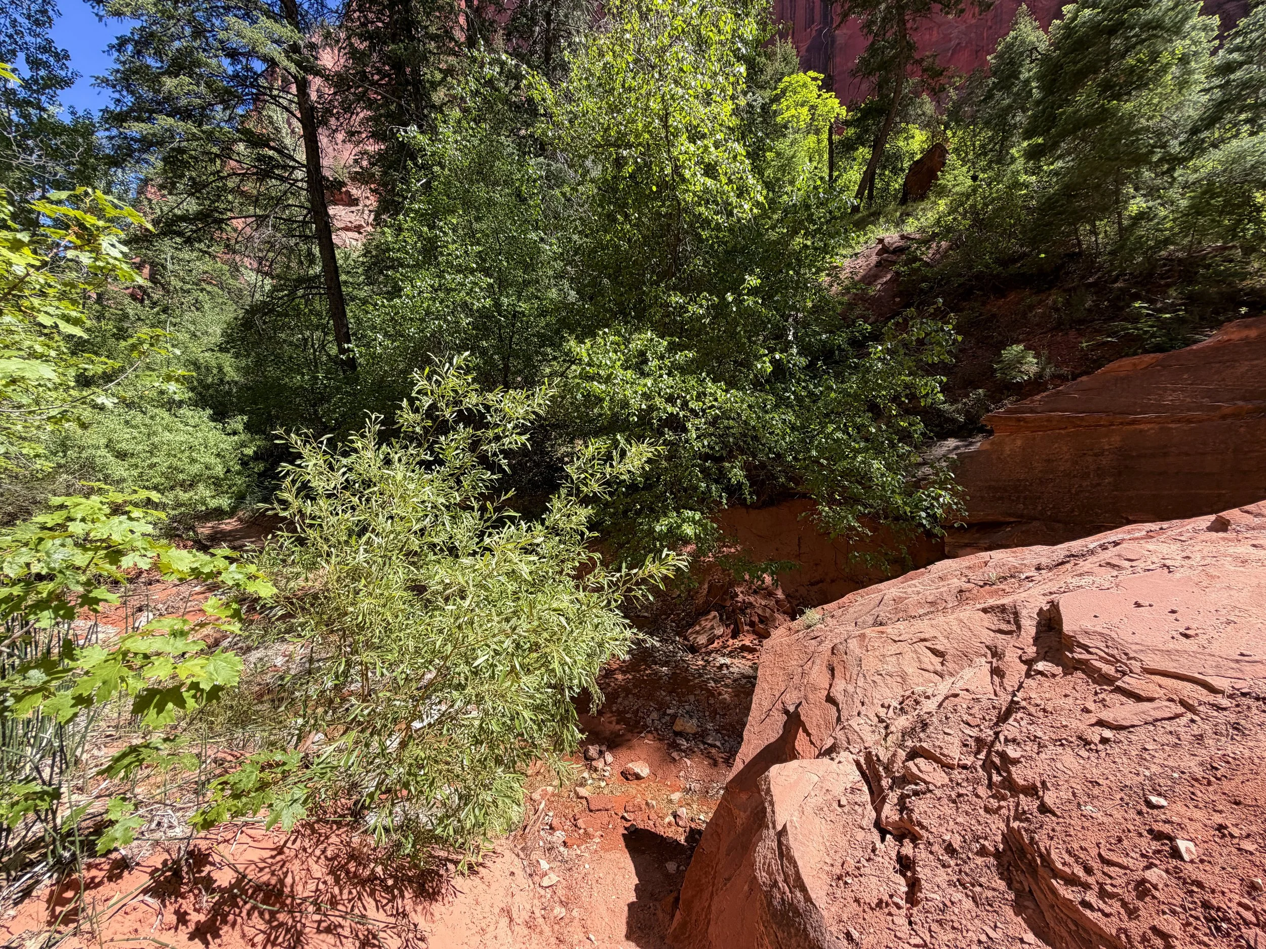 Middle Taylor Creek Trail Zion National Park Utah