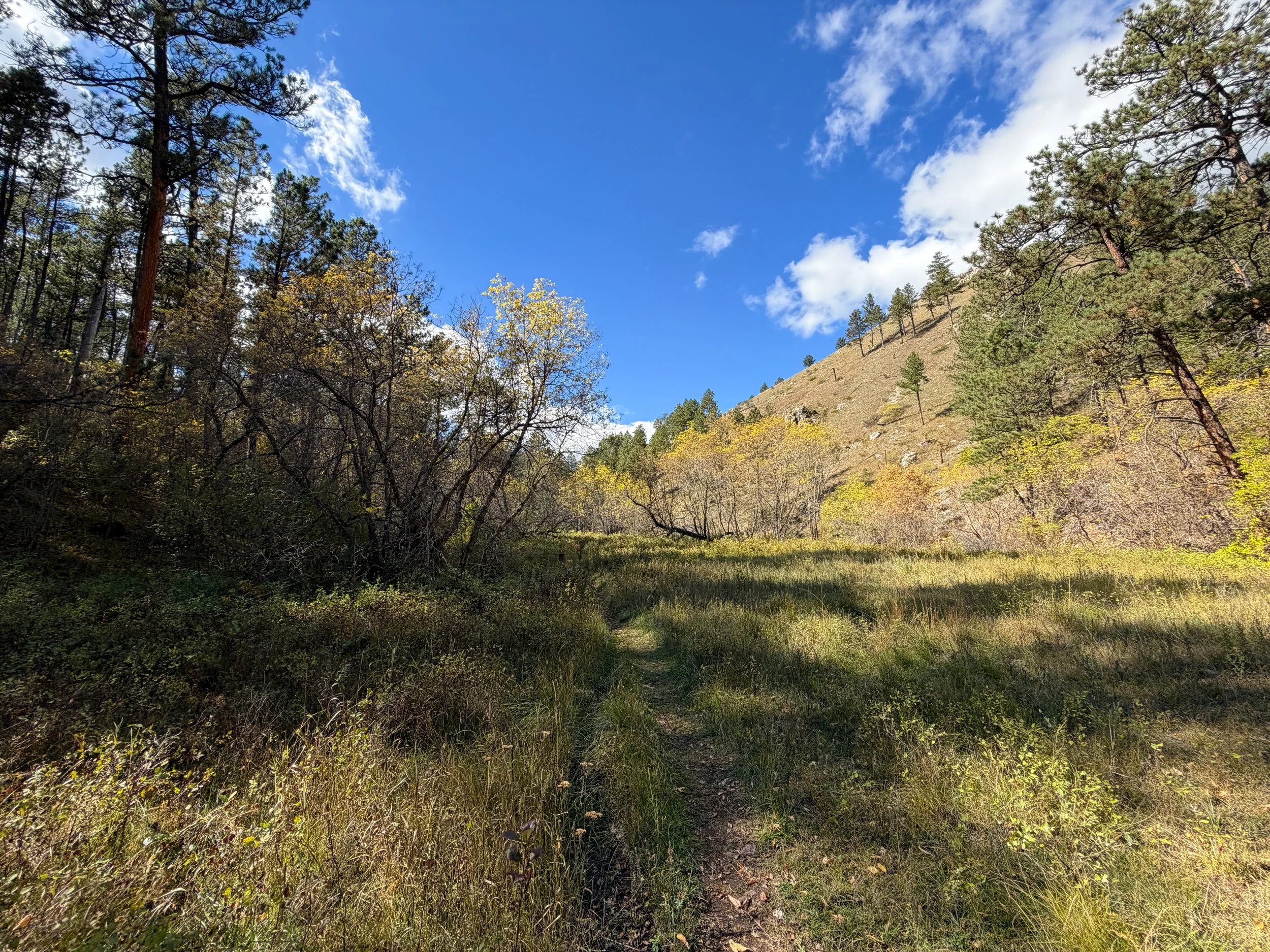 Lookout Point Loop Trail Wind Cave National Park South Dakota
