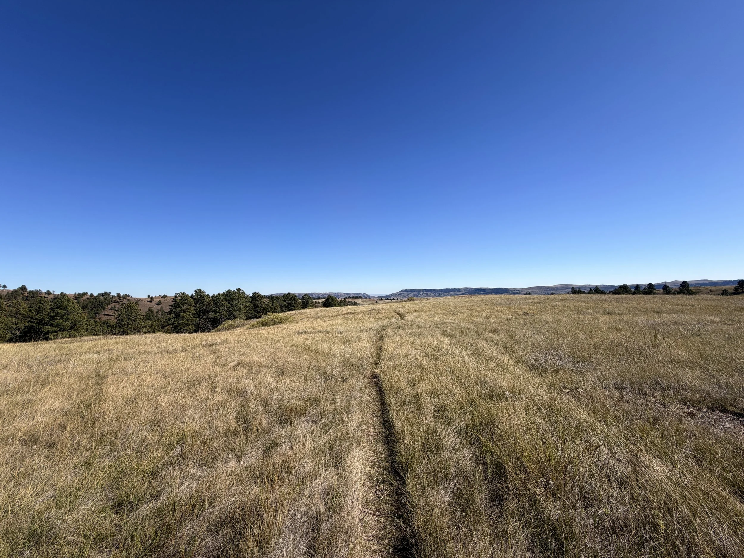 East Bison Flats Trail Wind Cave National Park South Dakota