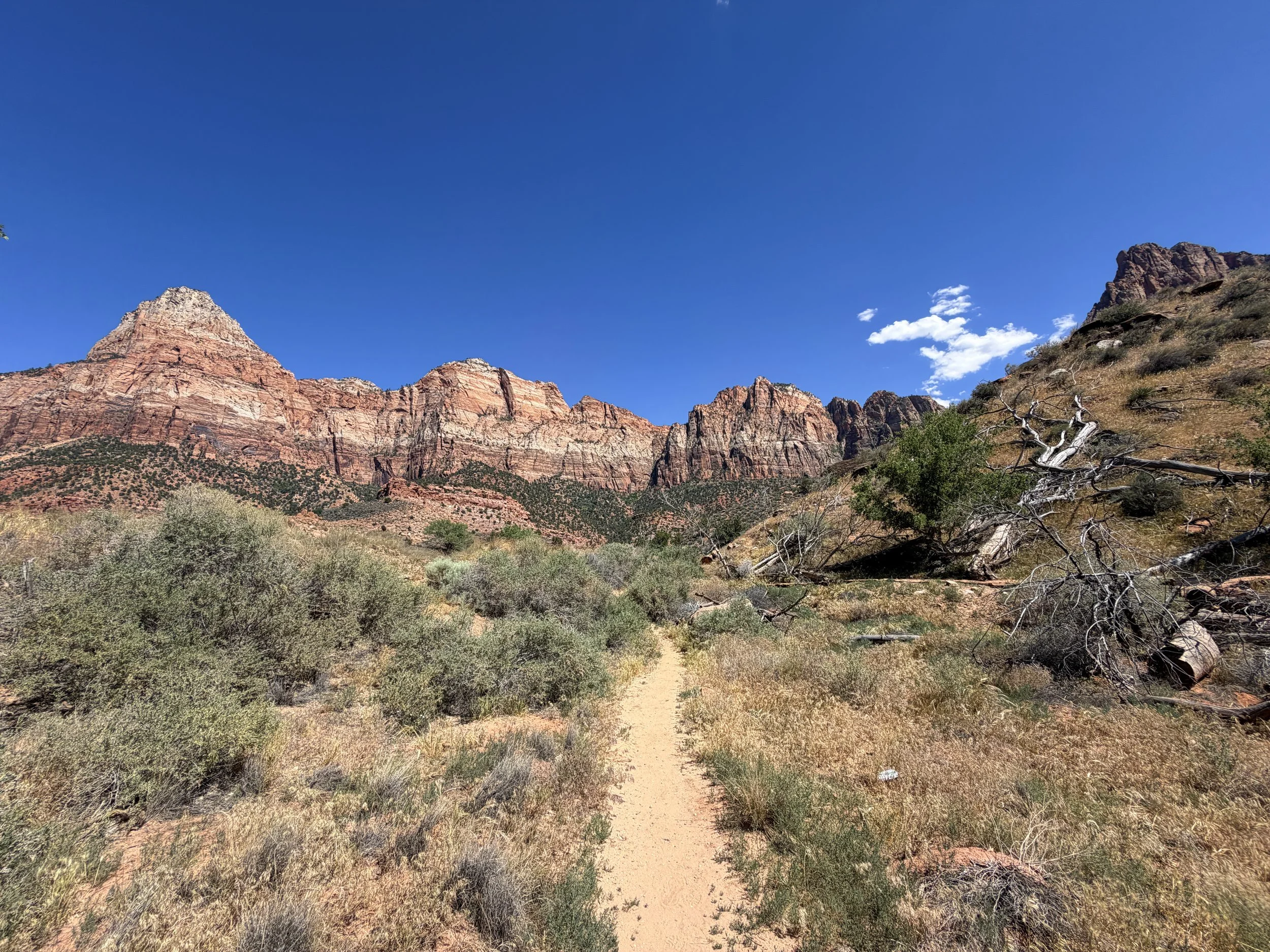 Archaeology Trail Zion National Park Utah