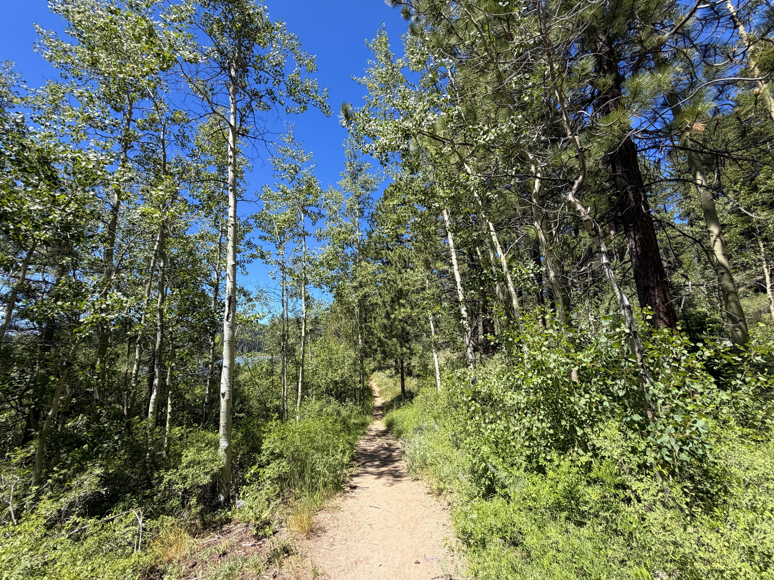 Spooner Lake Trail Lake Tahoe Nevada