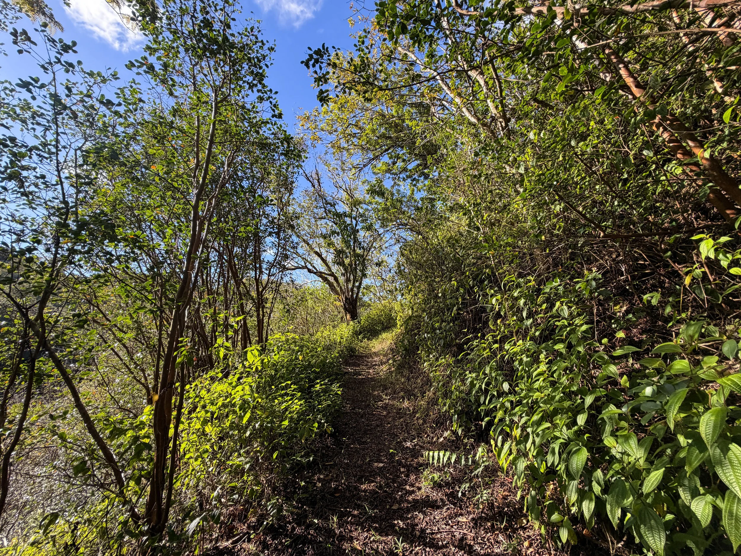 Mokuleia Trail Oahu Hawaii