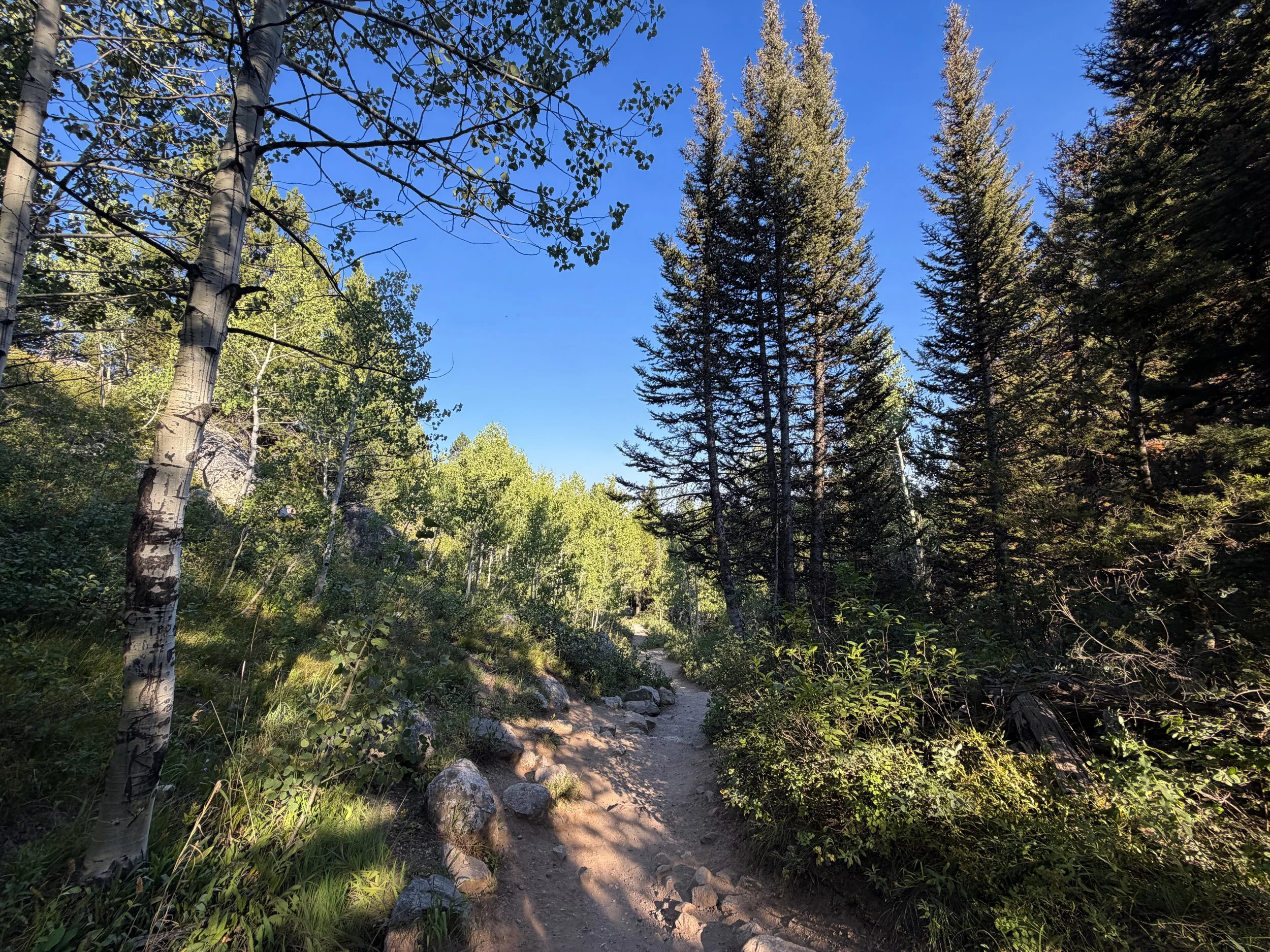 Moose Ponds Loop Trail Grand Teton National Park Wyoming