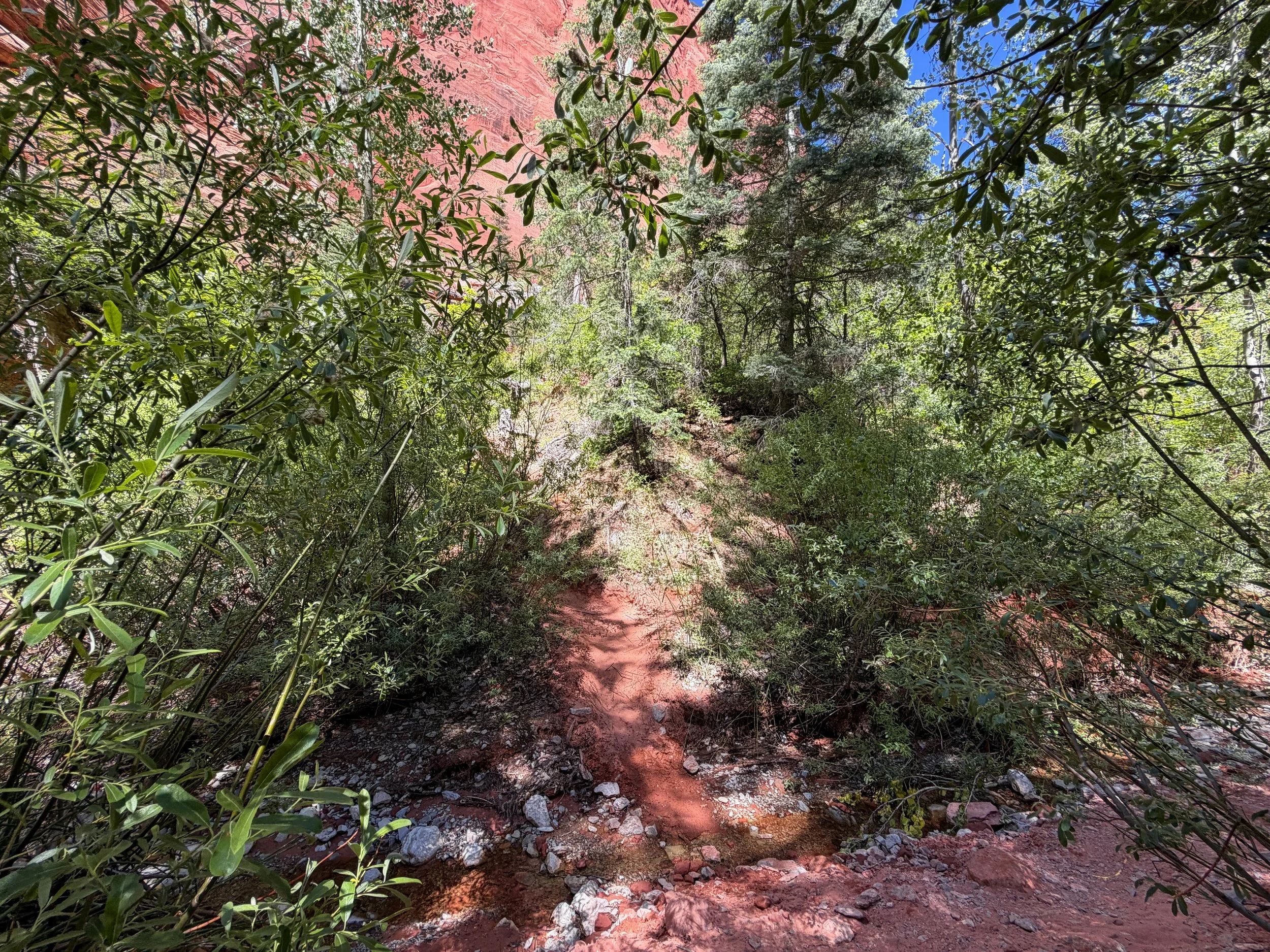 Middle Taylor Creek Trail Zion National Park Utah