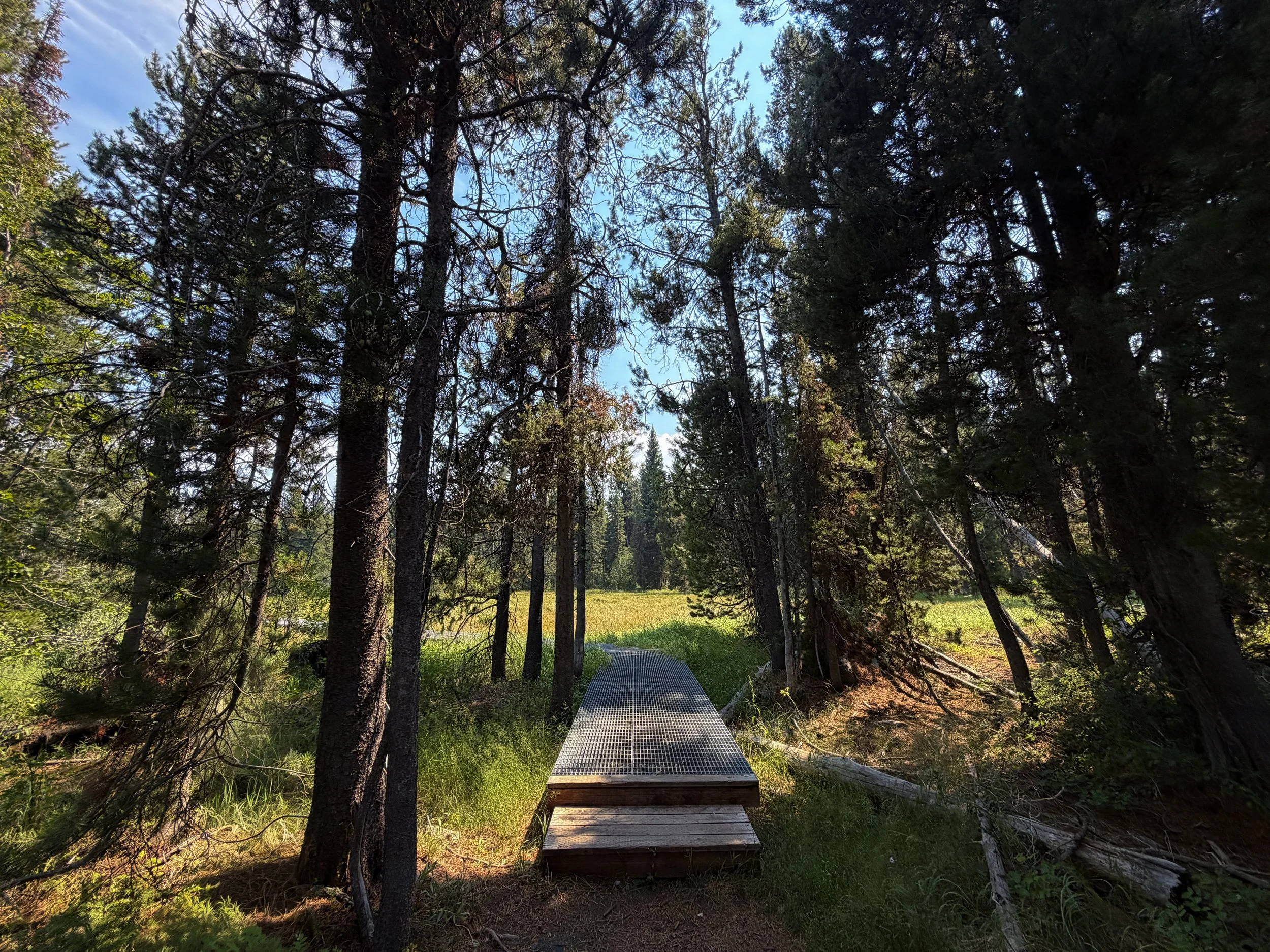 Phelps Lake Loop Trail Boardwalk Grand Teton National Park Wyoming