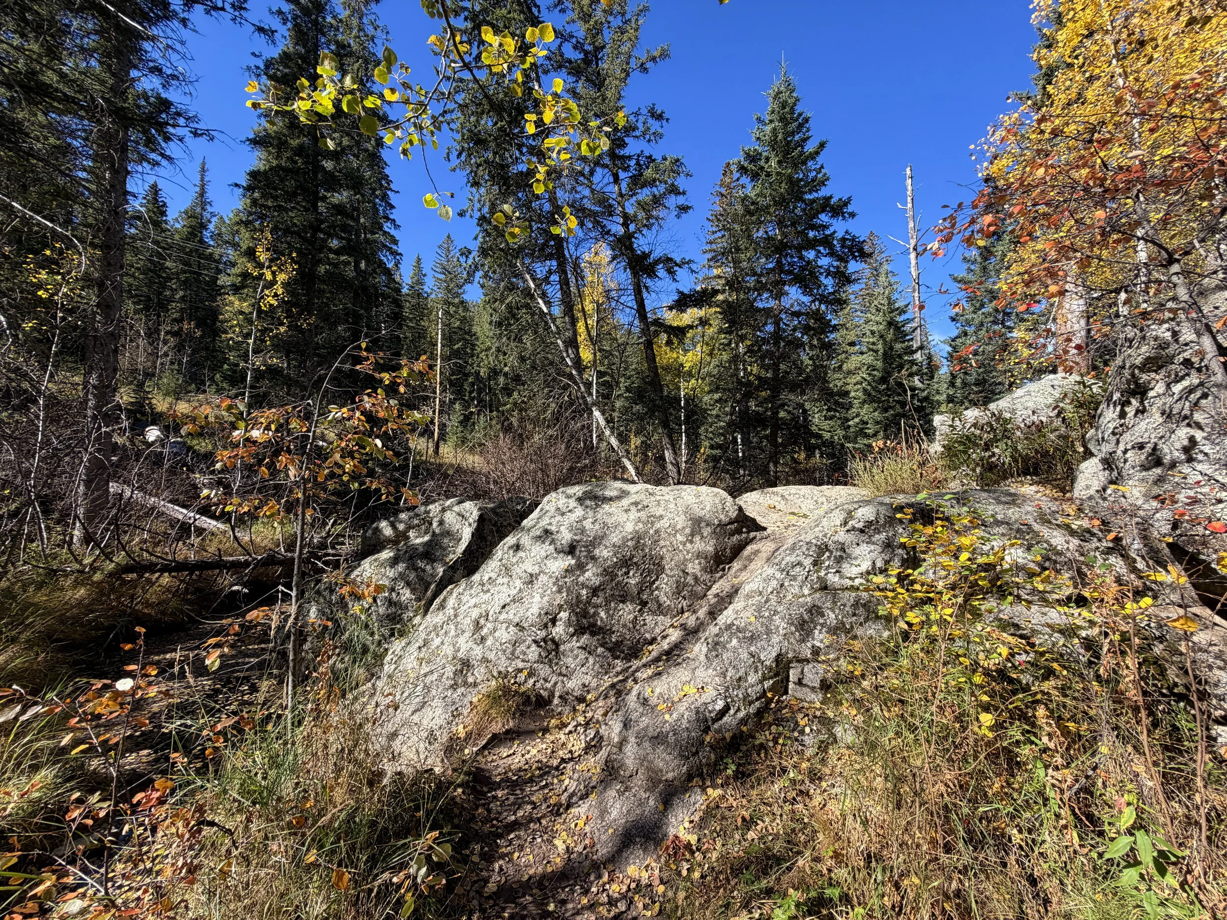 Sunday Gulch Loop Hike Custer State Park Black Hills South Dakota