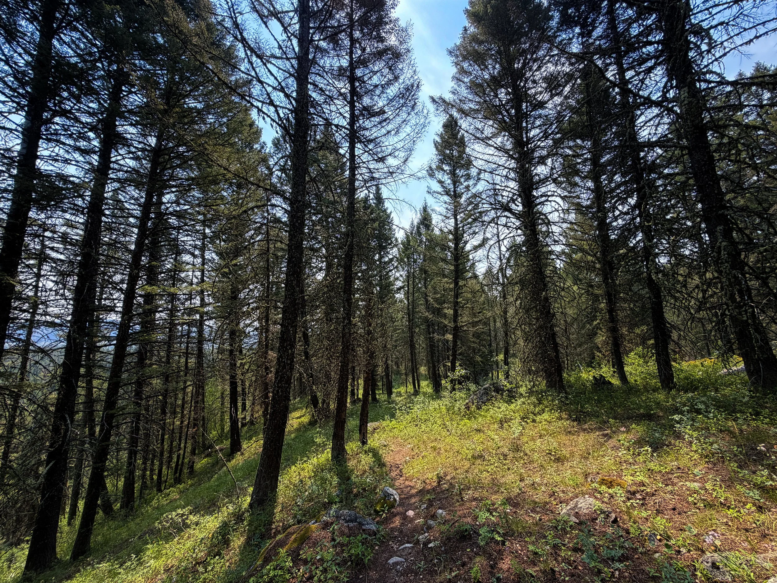 Boulder Ridge Trail Grand Teton National Park Wyoming