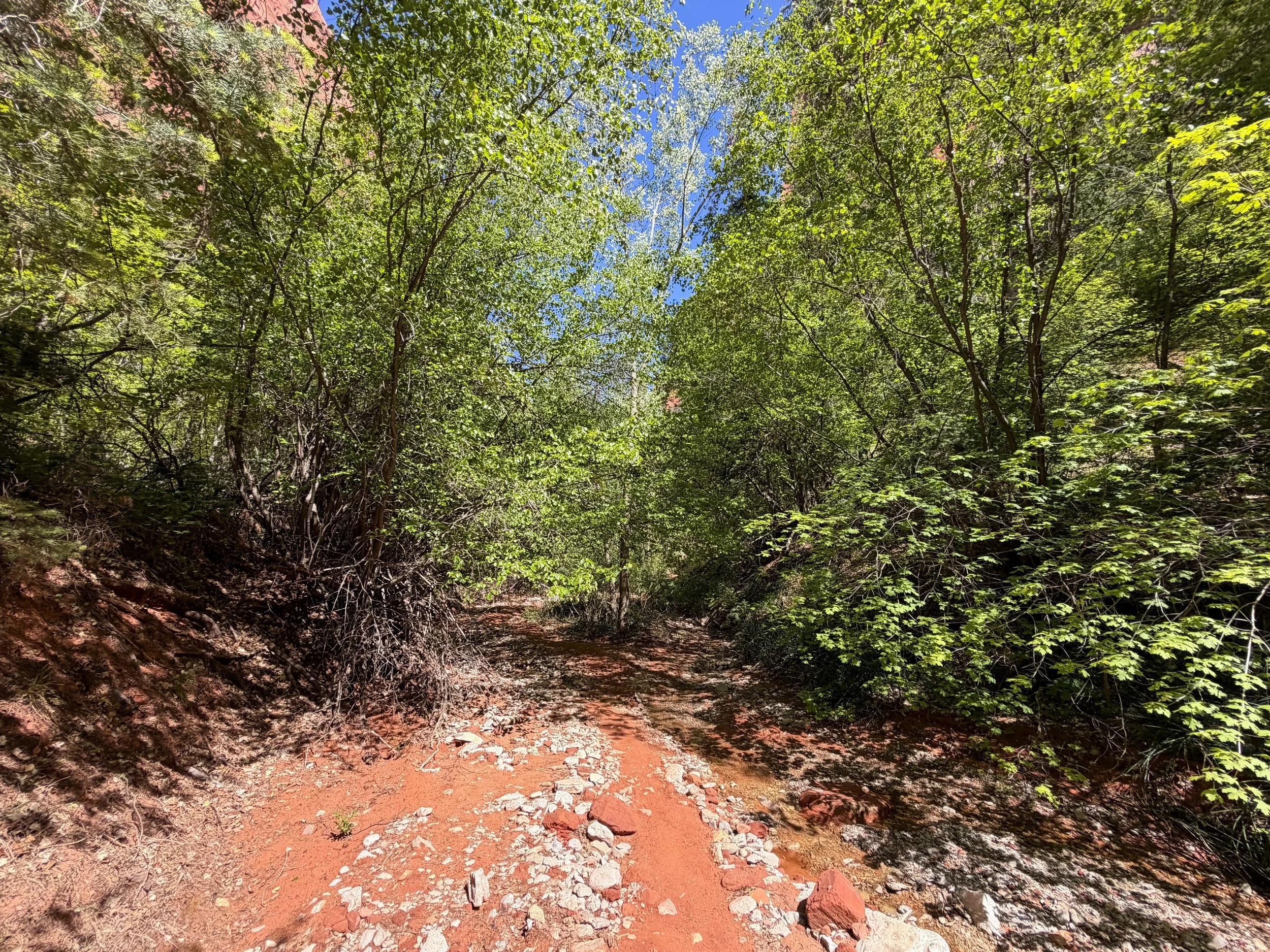 Middle Taylor Creek Trail Zion National Park Utah