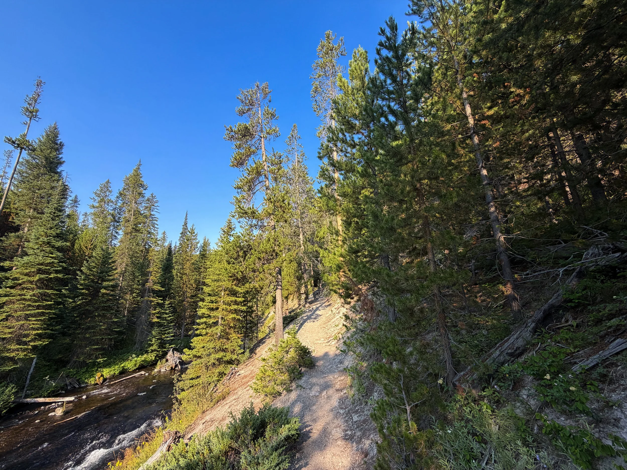 Mystic Falls Loop Trail Yellowstone National Park Wyoming