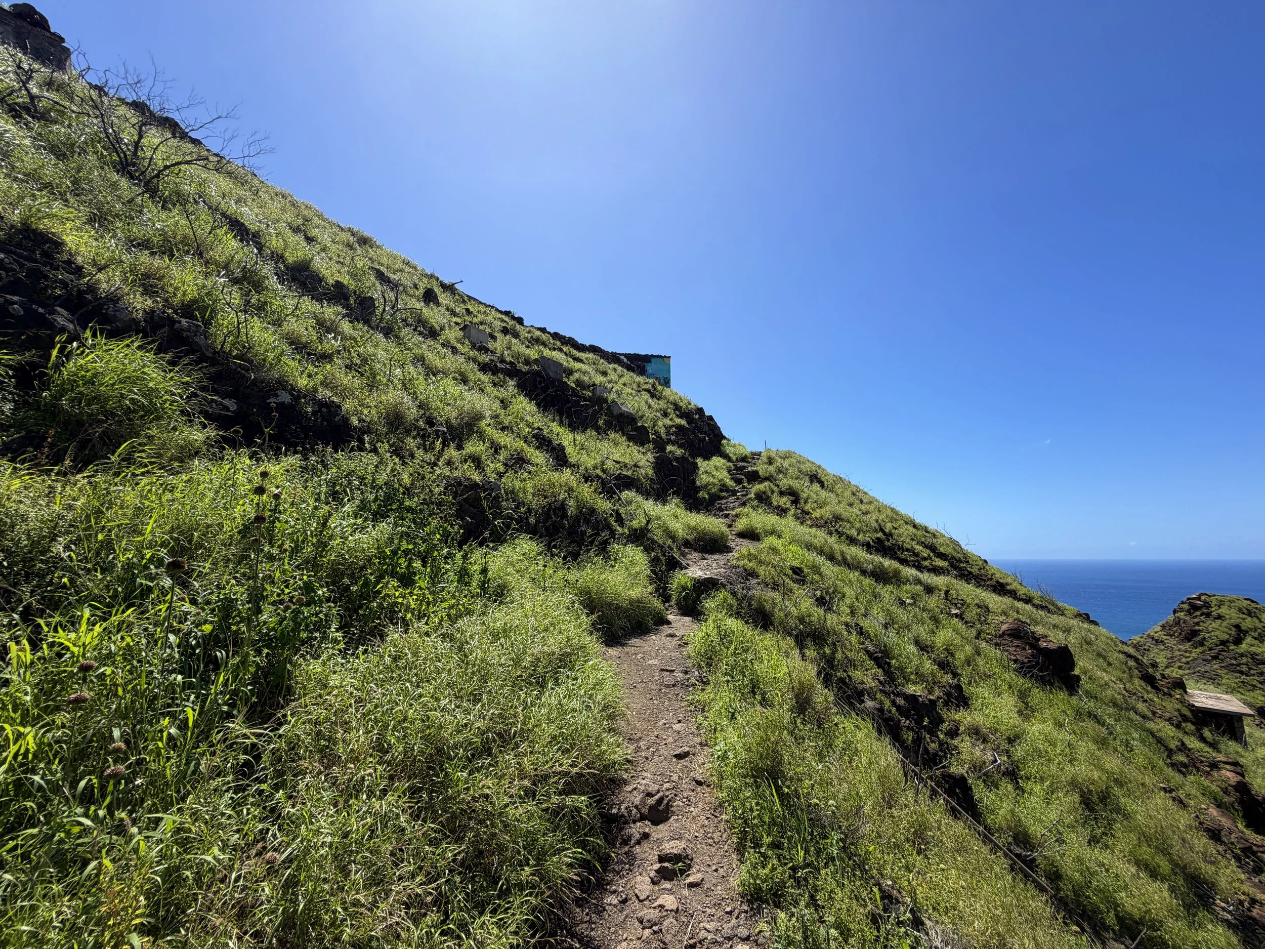 Puu O Hulu Trail to Pink Pillbox Oahu Hawaii