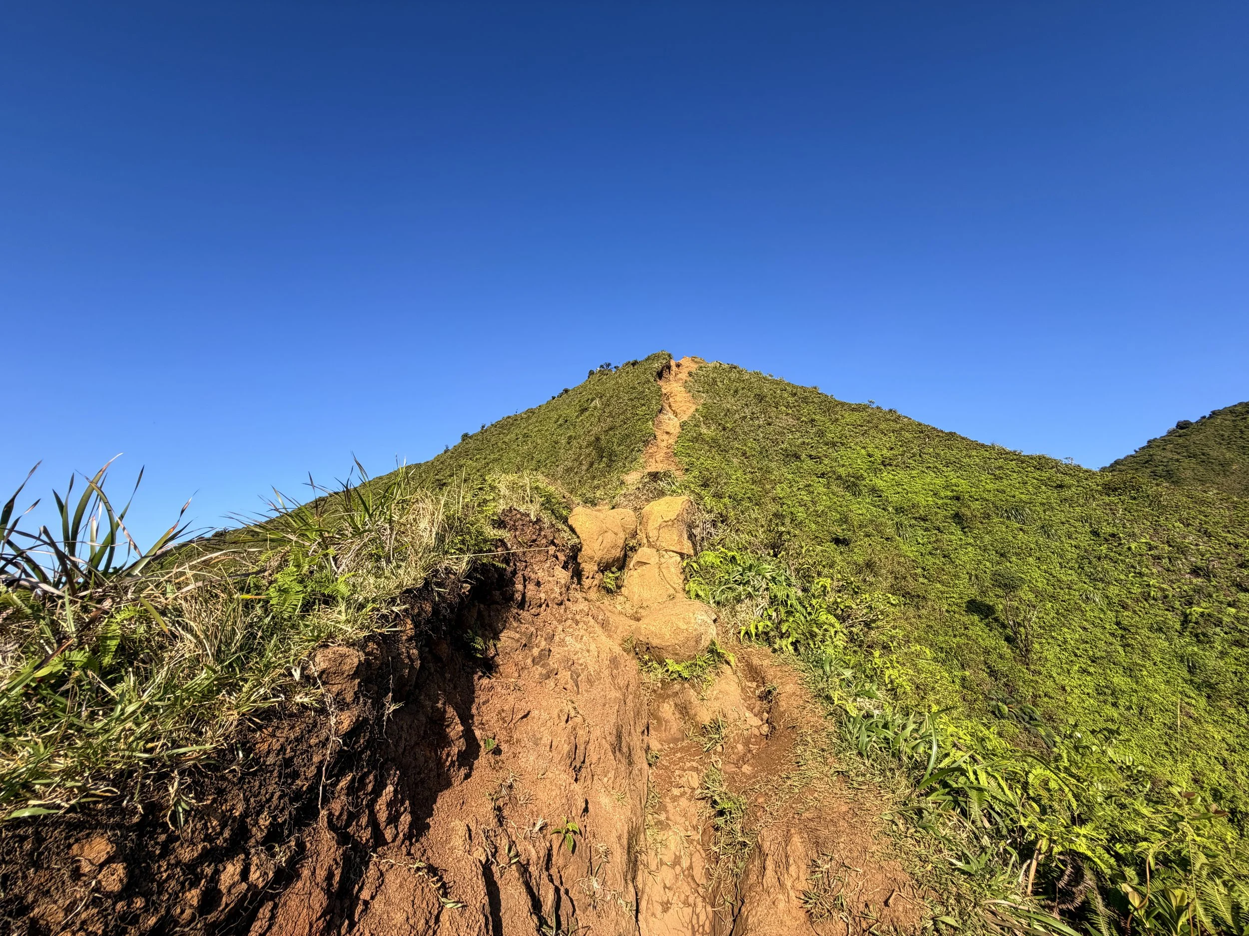 Moanalua Middle Ridge Trail to Stairway to Heaven Oahu Hawaii