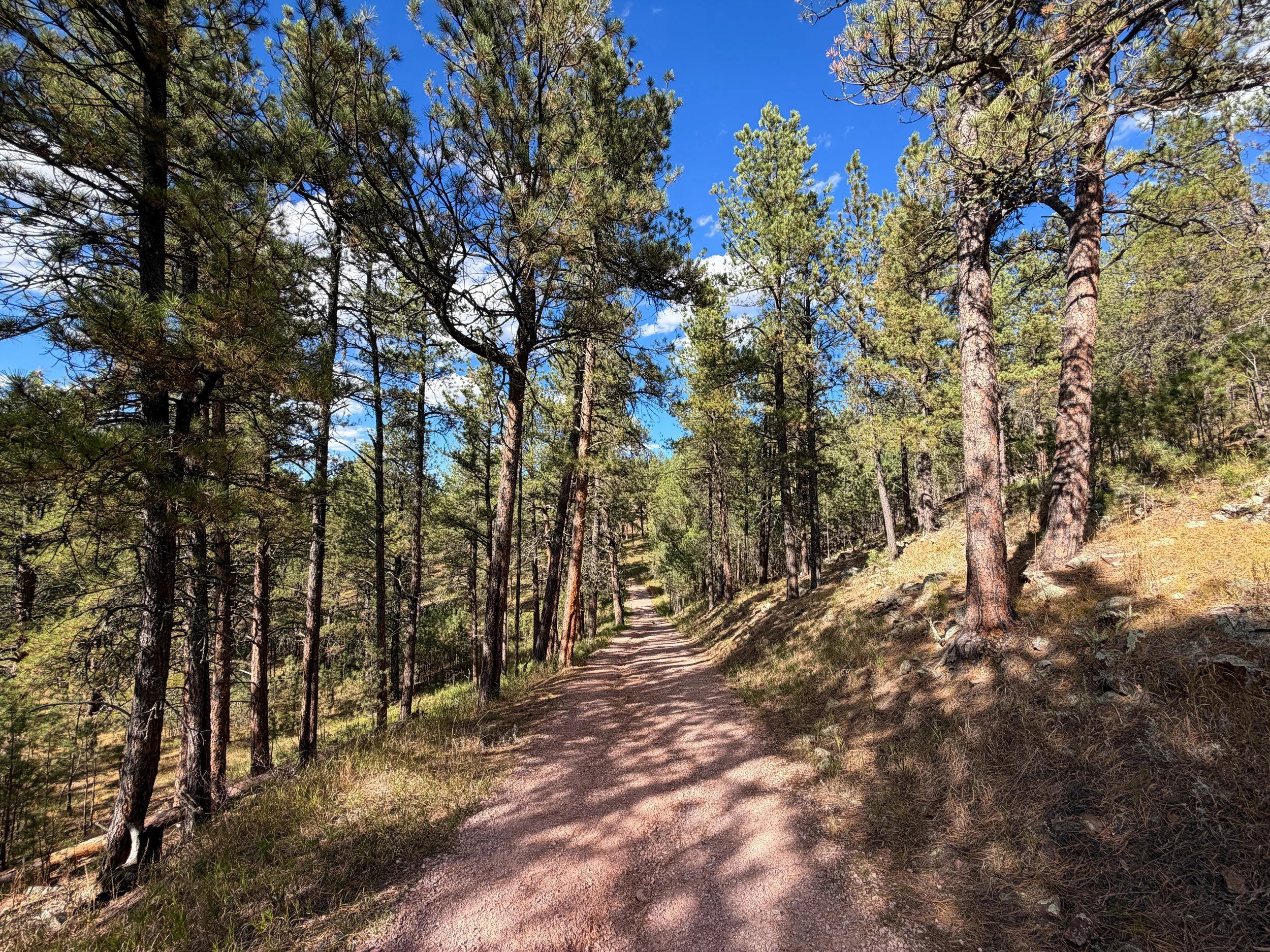 Rankin Ridge Trail Wind Cave National Park South Dakota