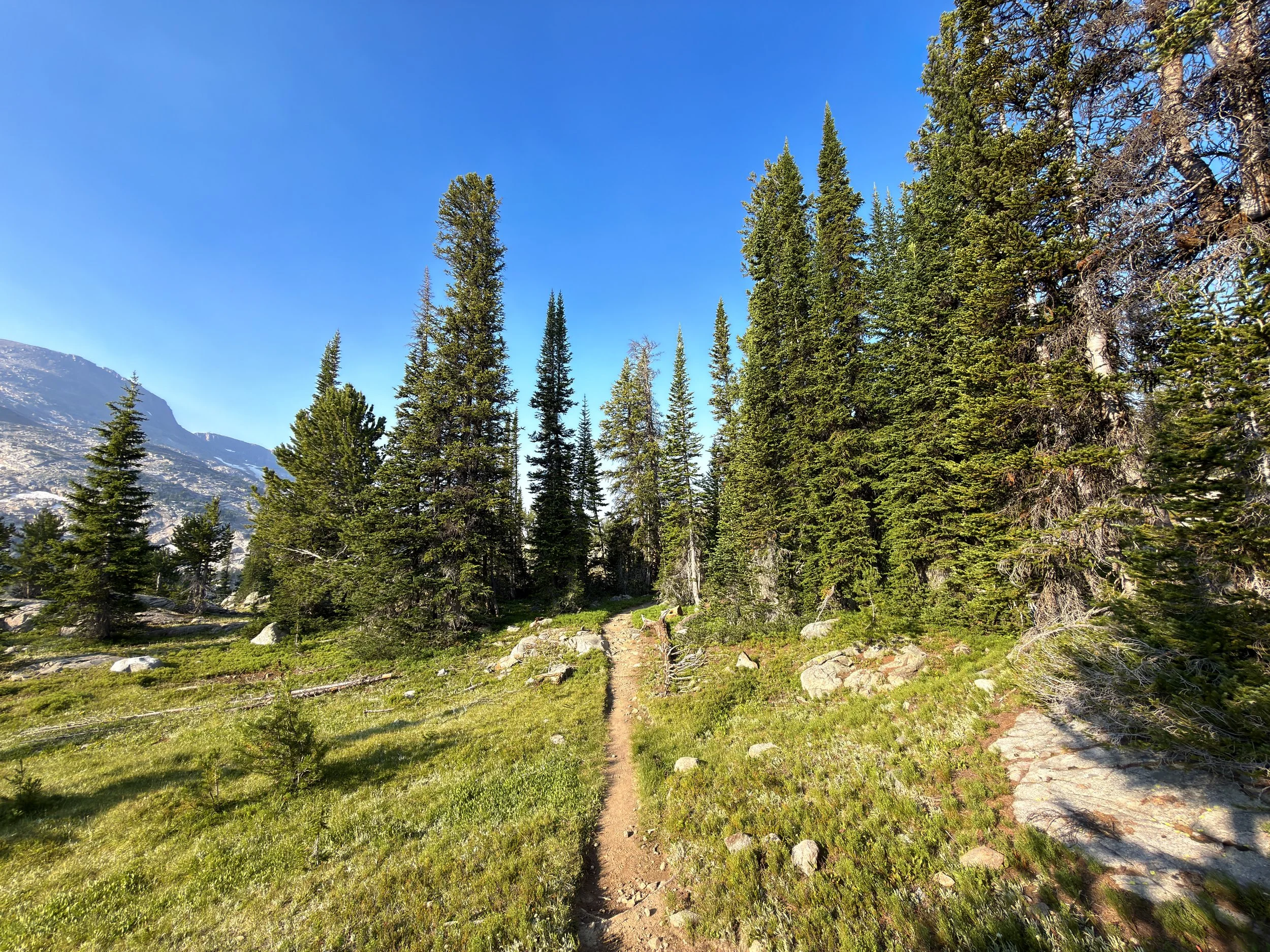Beaten Path Trail Beartooth Mountains Montana
