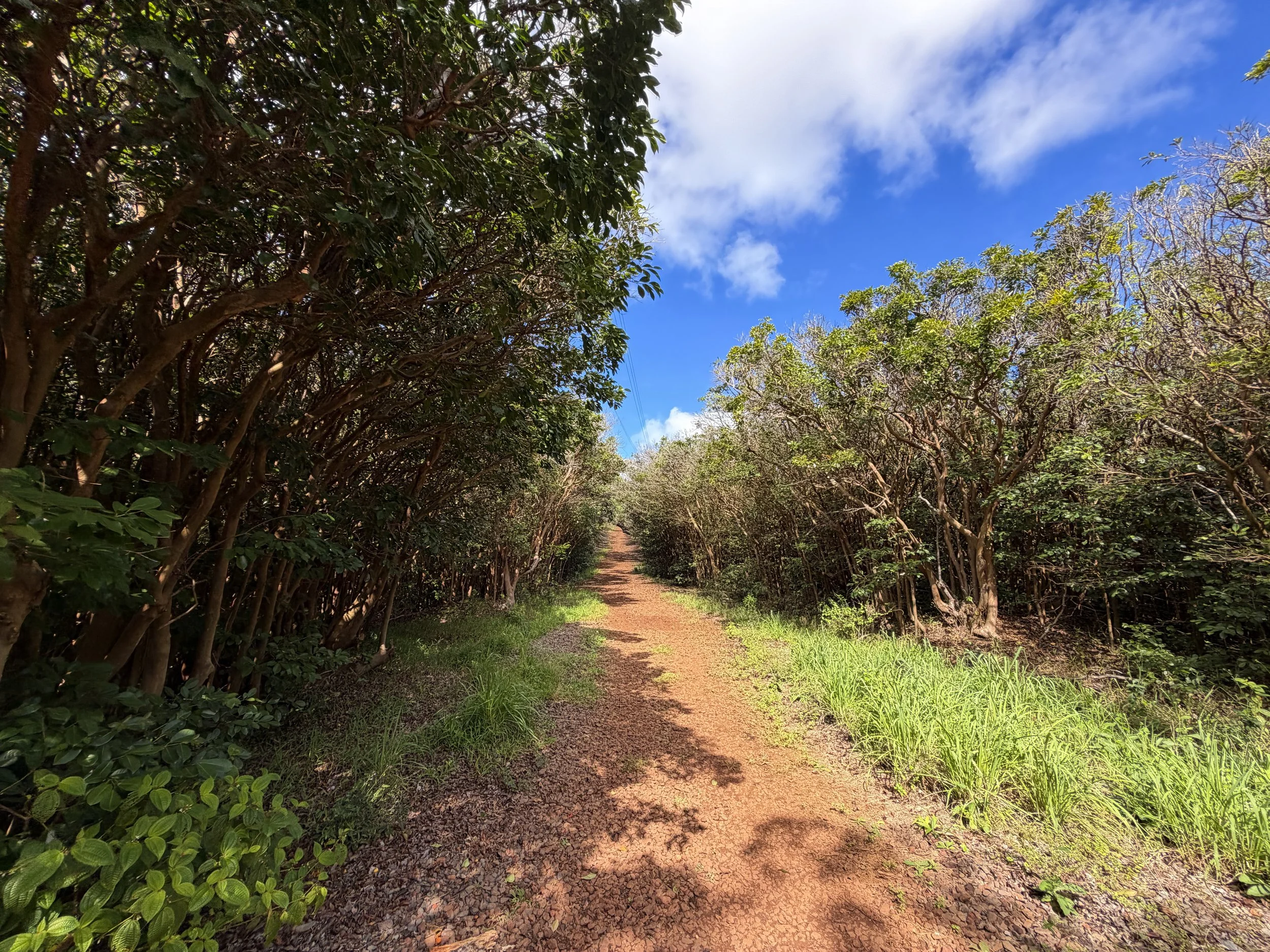 Wiliwilinui Ridge Hike Oahu Hawaii