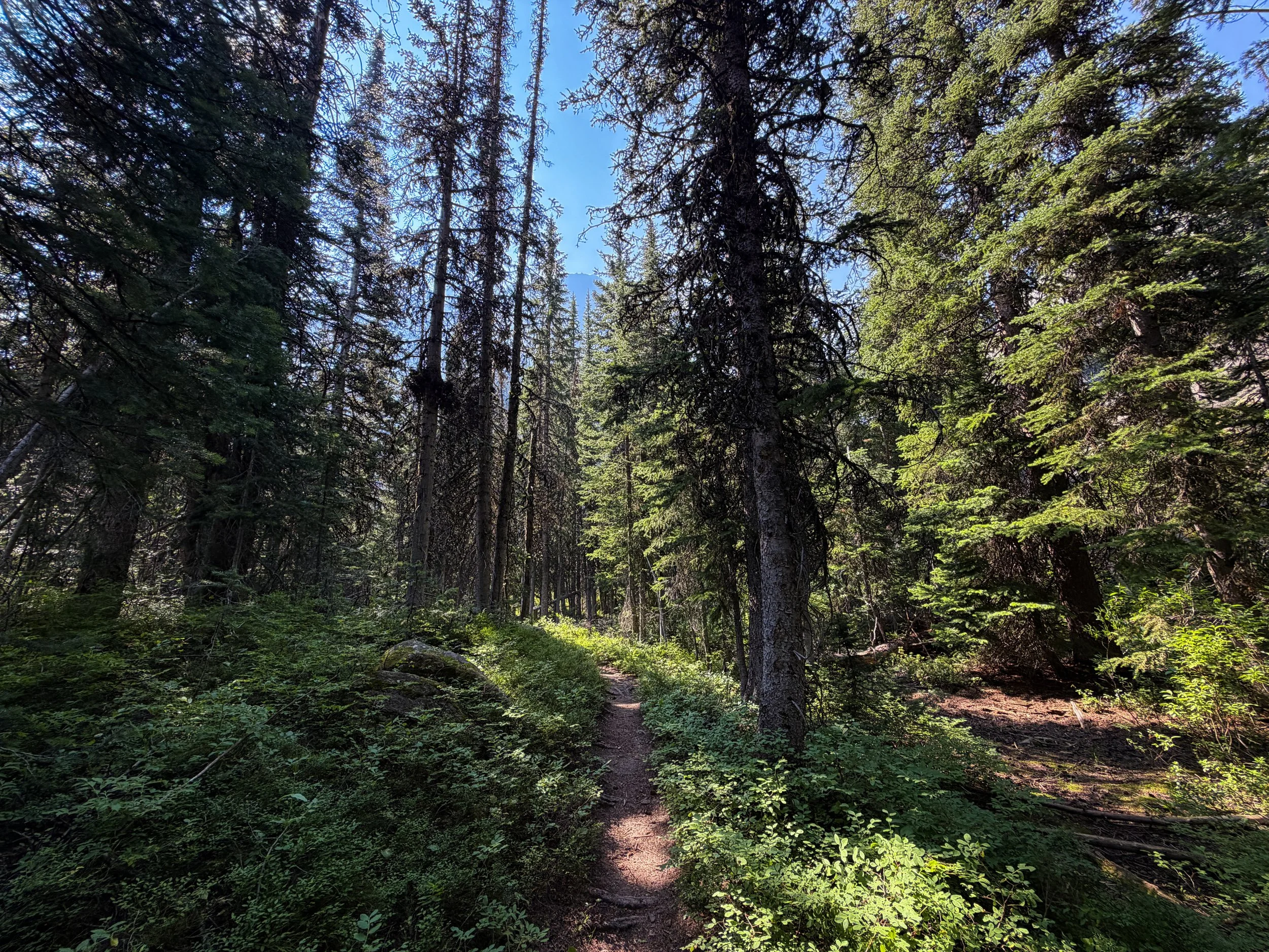 East Rosebud Trail The Beaten Path Beartooth Mountains Montana