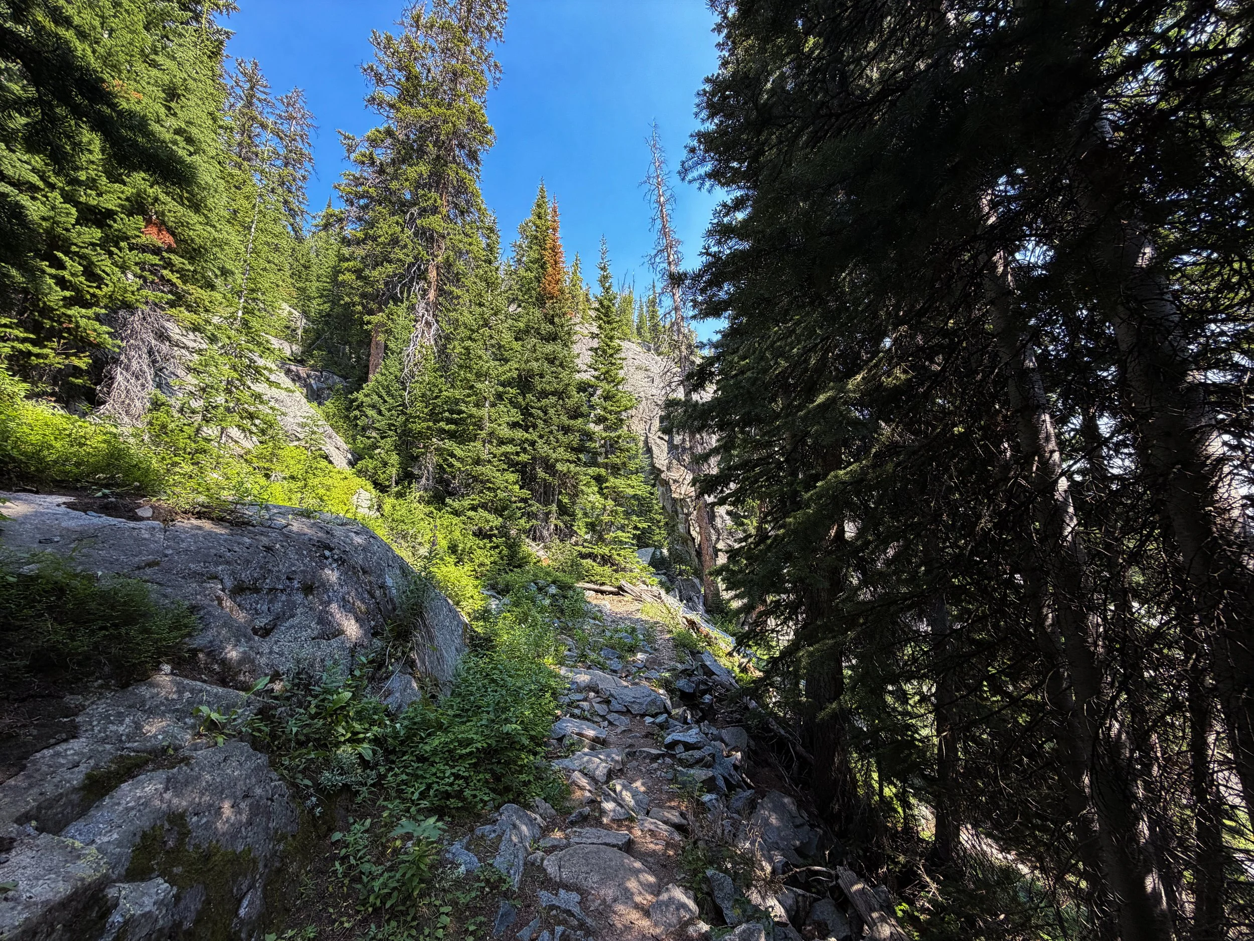 East Rosebud Trail The Beaten Path Beartooth Mountains Montana
