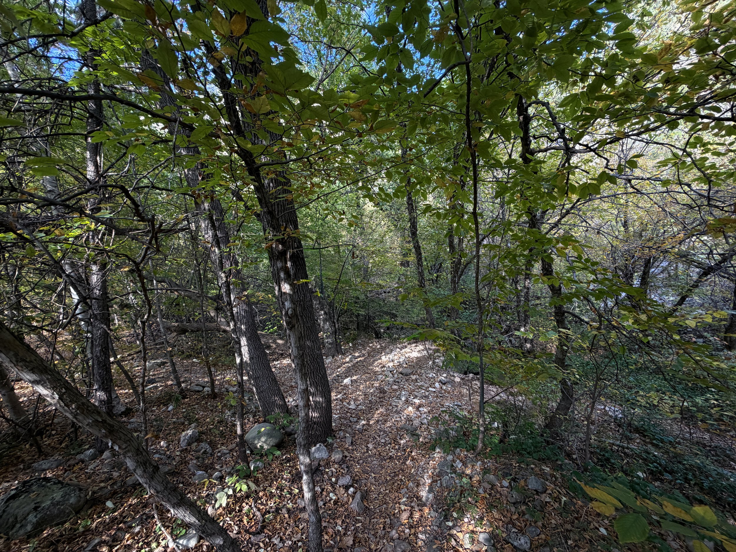 Community Caves Hike Spearfish Canyon Black Hills South Dakota
