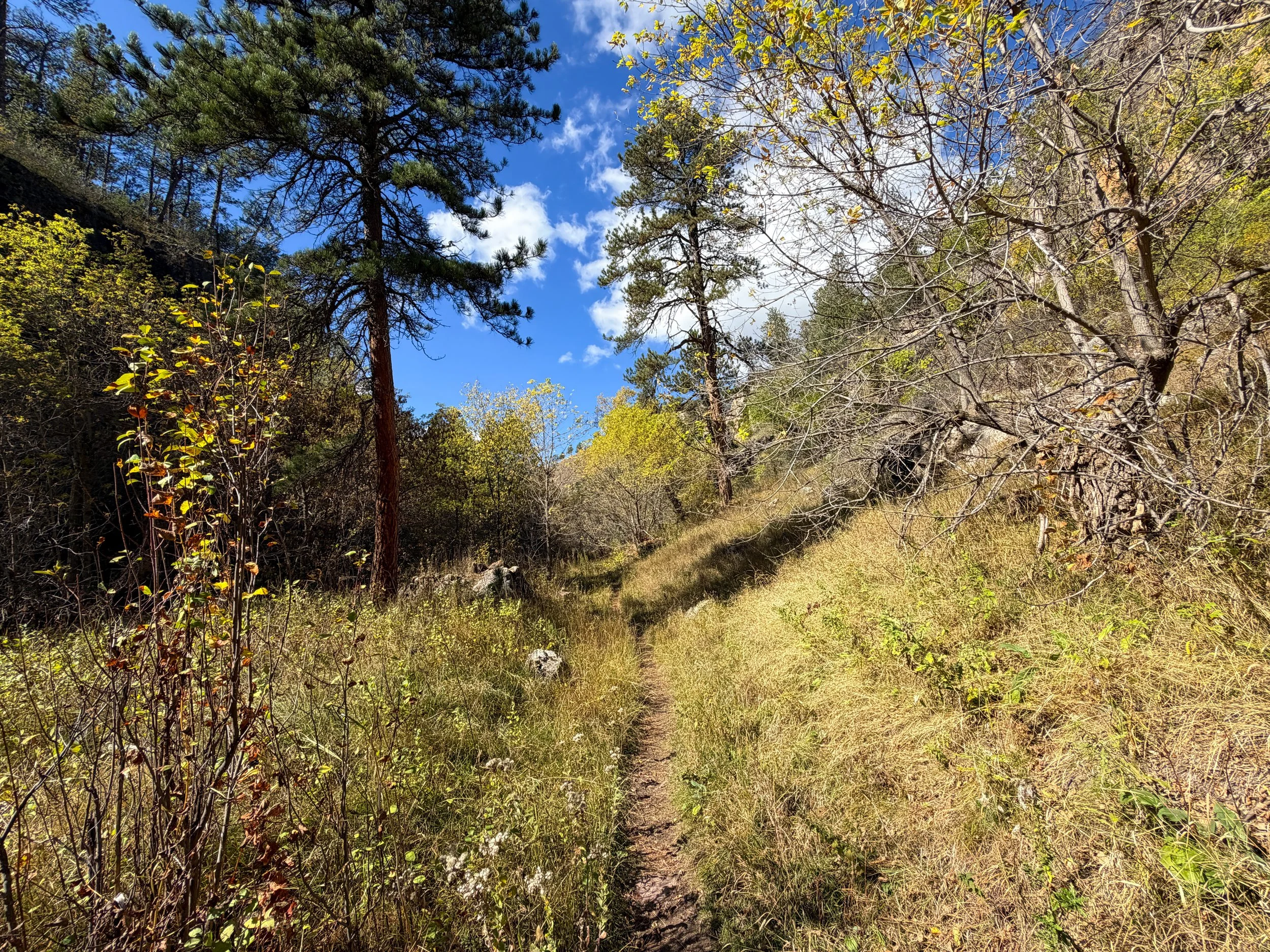 Lookout Point Loop Trail Wind Cave National Park South Dakota
