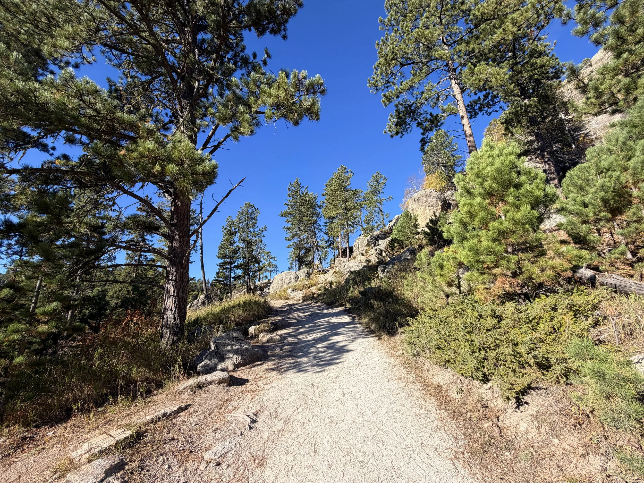 Sylvan Lake to Sunday Gulch Trail Custer State Park Black Hills South Dakota