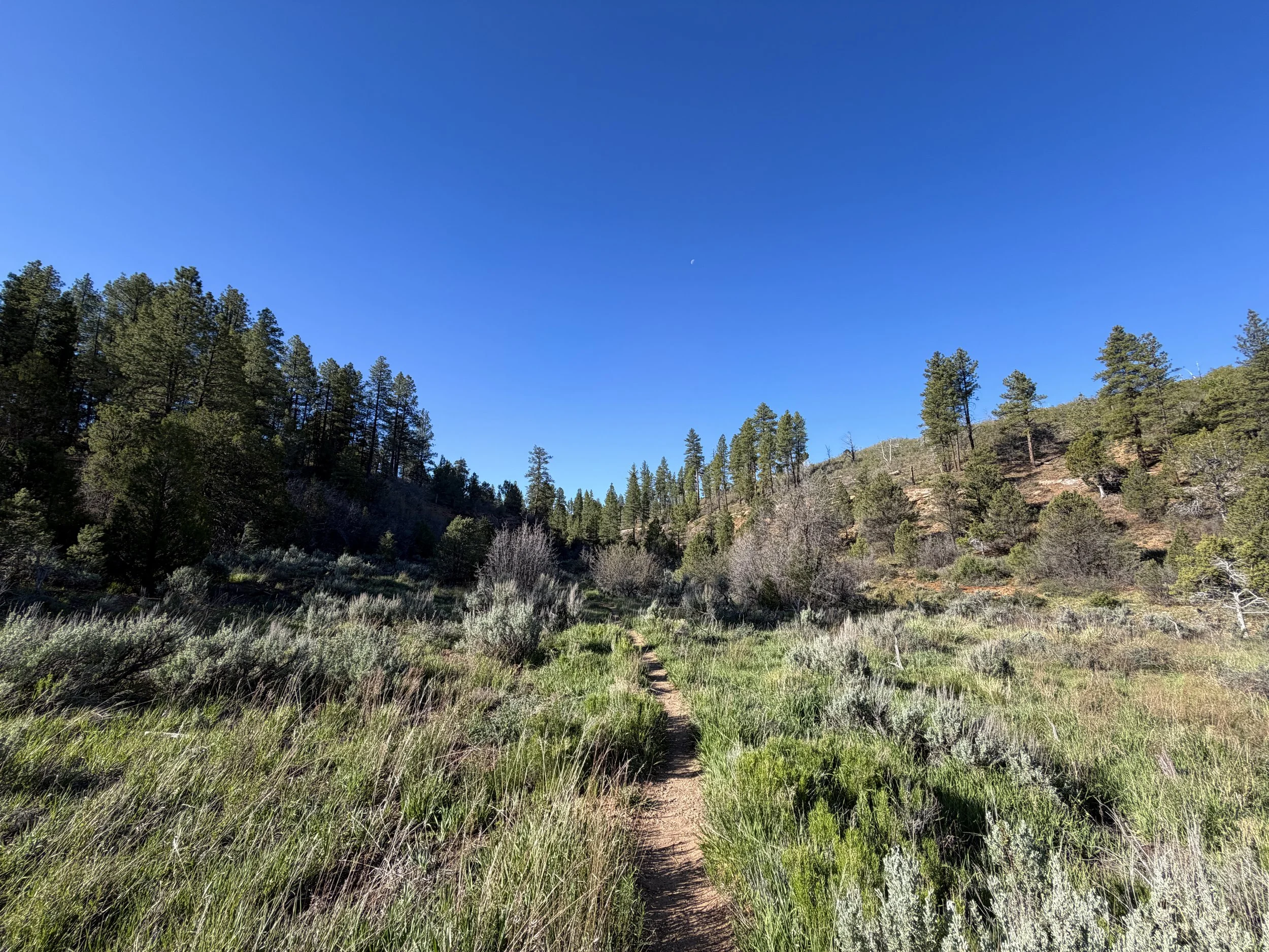 Deertrap Mountain Trail Zion National Park Utah