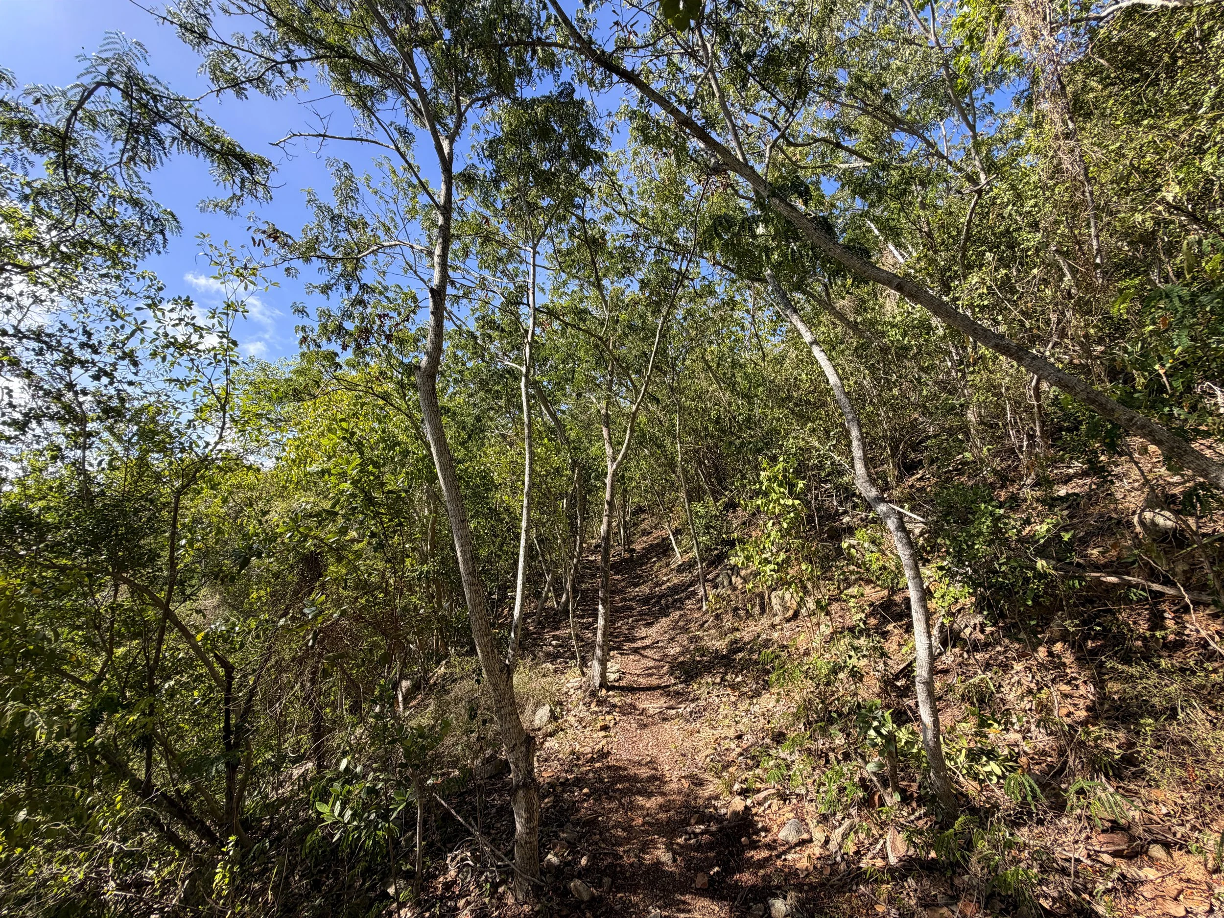 Lameshur Bay Trail to Europa Point Virgin Islands National Park