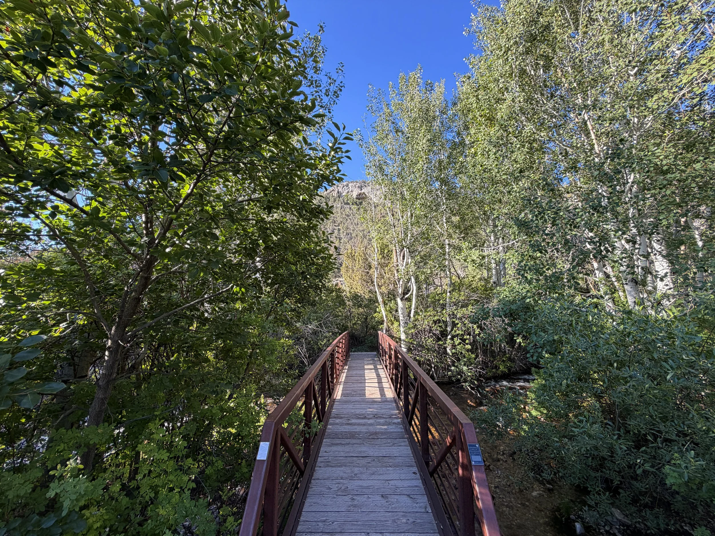 Pole Canyon Trail Great Basin National Park Nevada