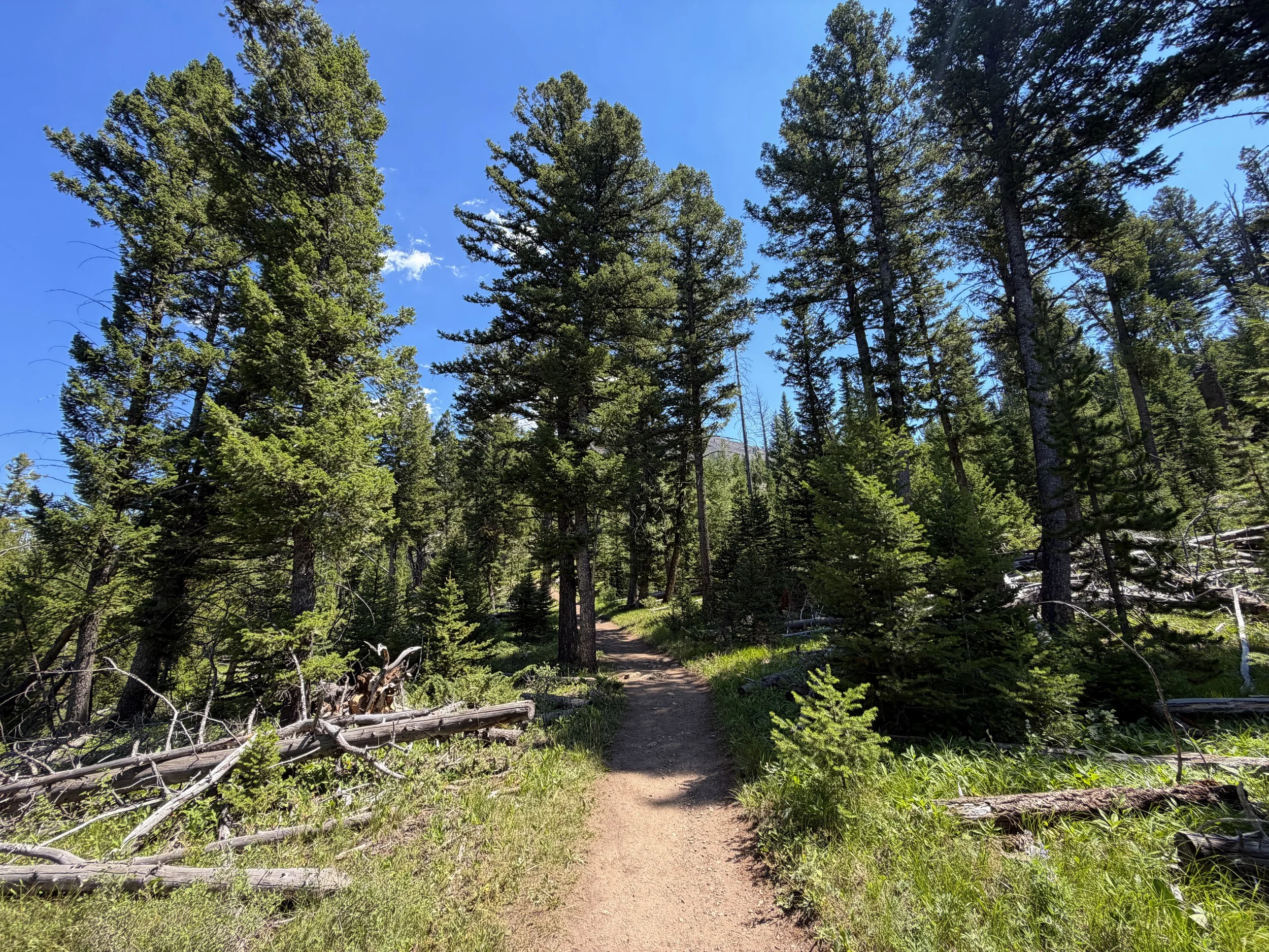 Bunsen Peak Trail Yellowstone National Park Wyoming