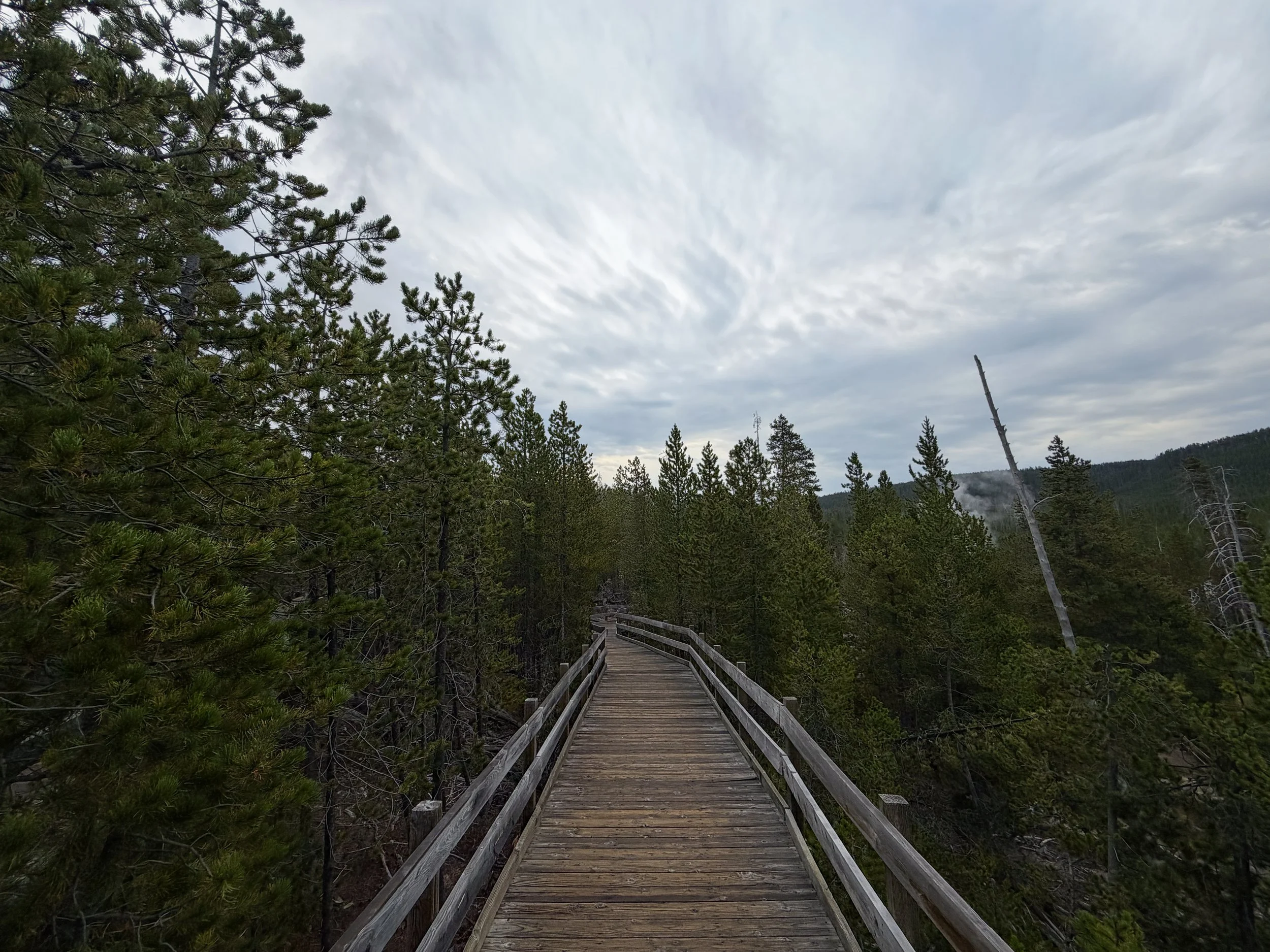 Back Basin Trail Norris Geyser Basin Yellowstone National Park Wyoming