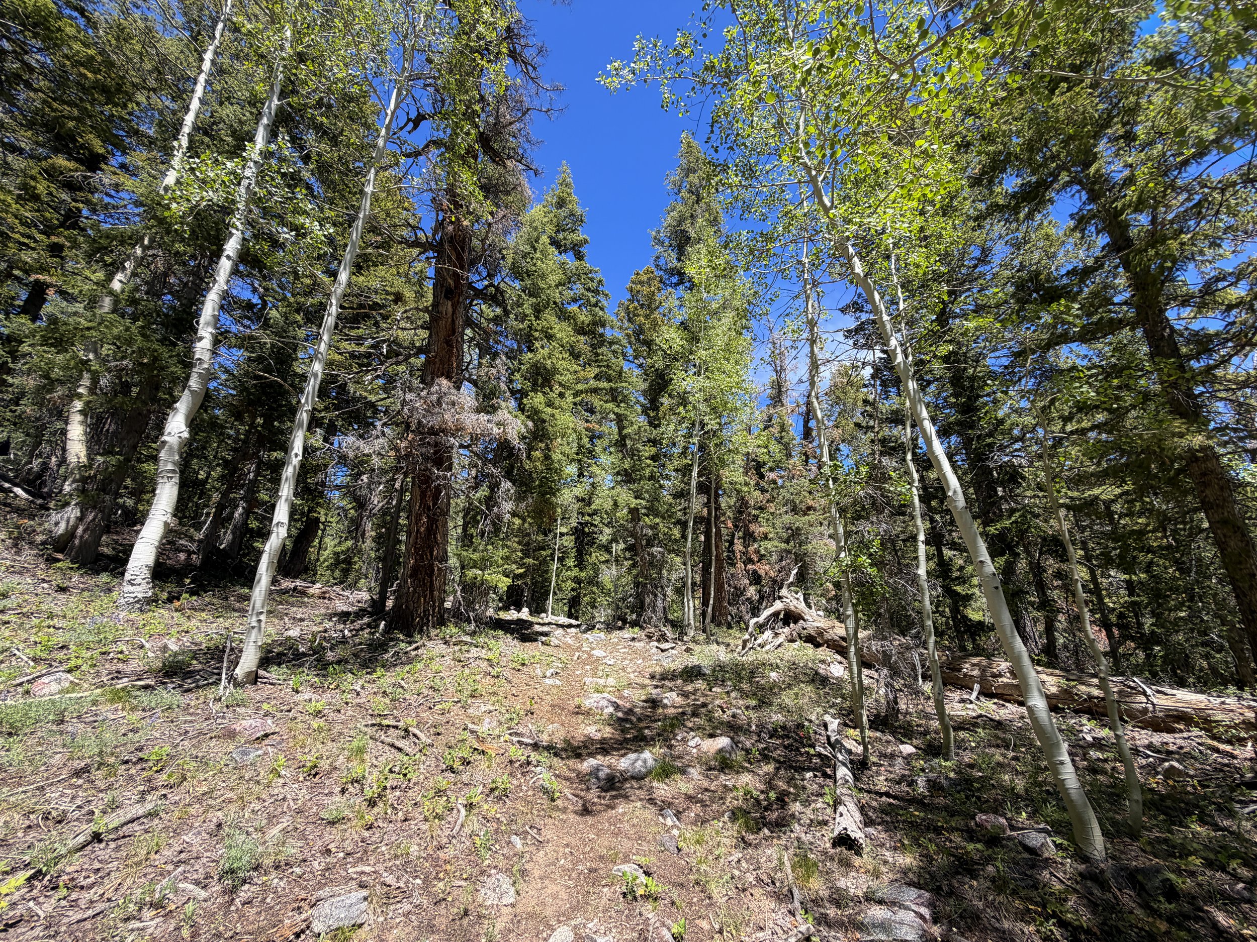 Dead Lake Hike Great Basin National Park Nevada