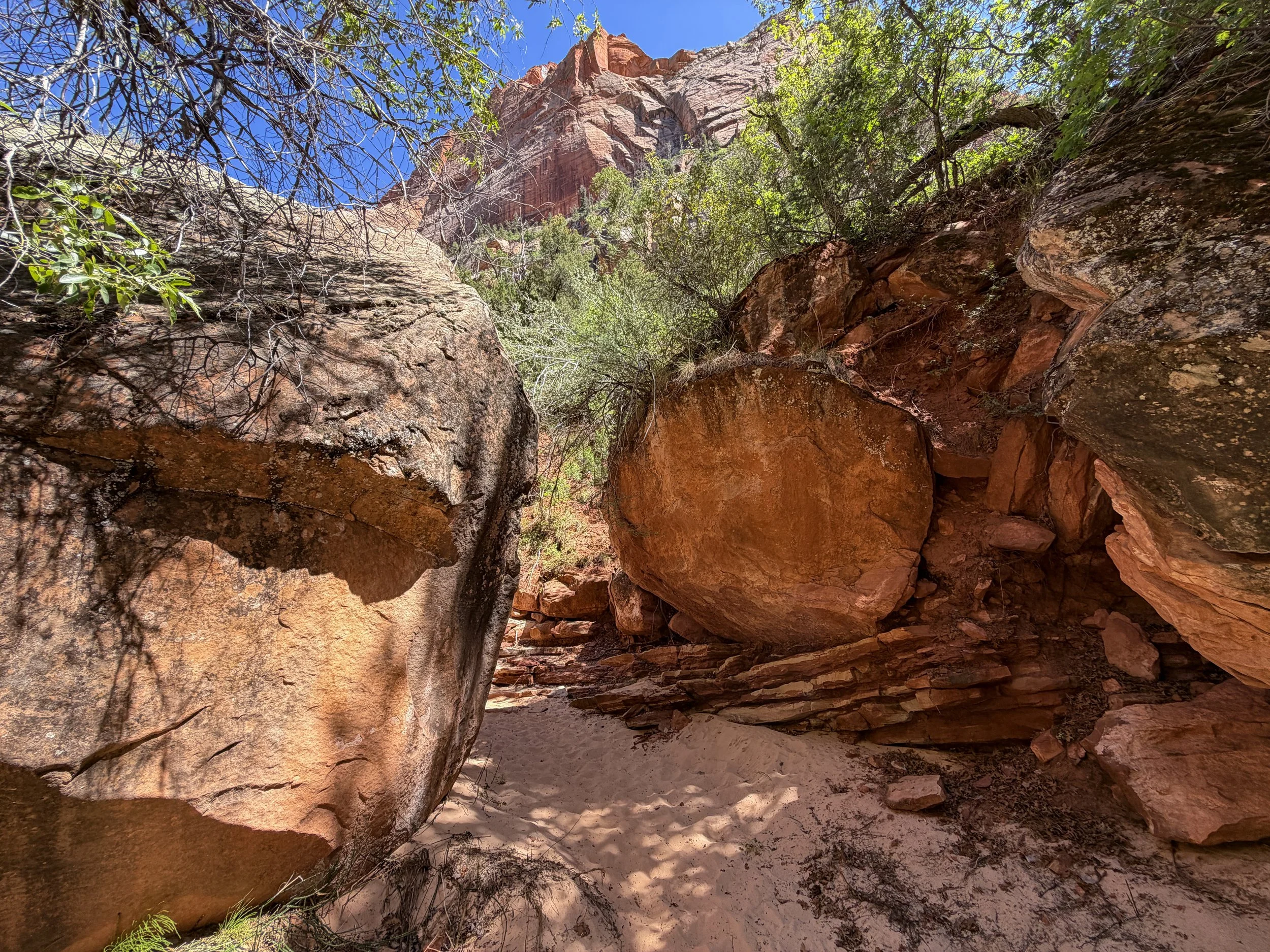 Subway Trail Zion National Park Utah