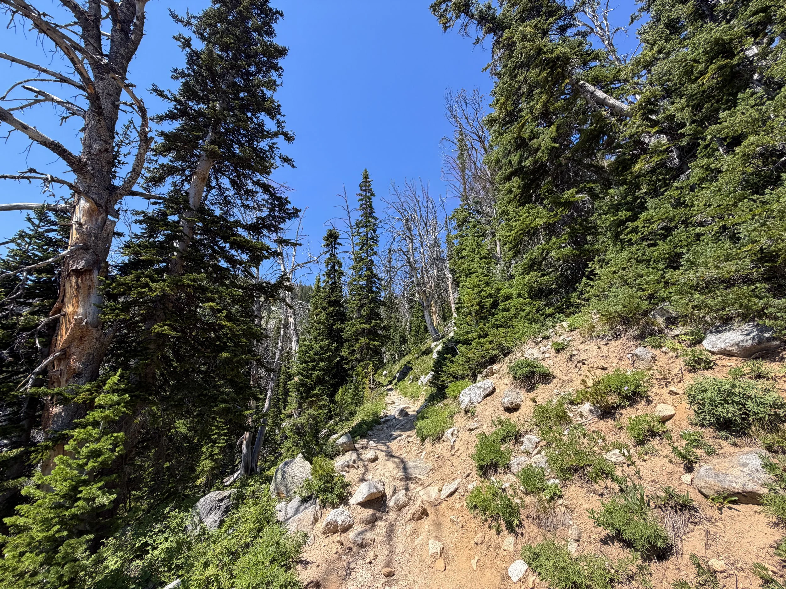 Surprise and Amphitheater Lakes Trail Grand Teton National Park Wyoming