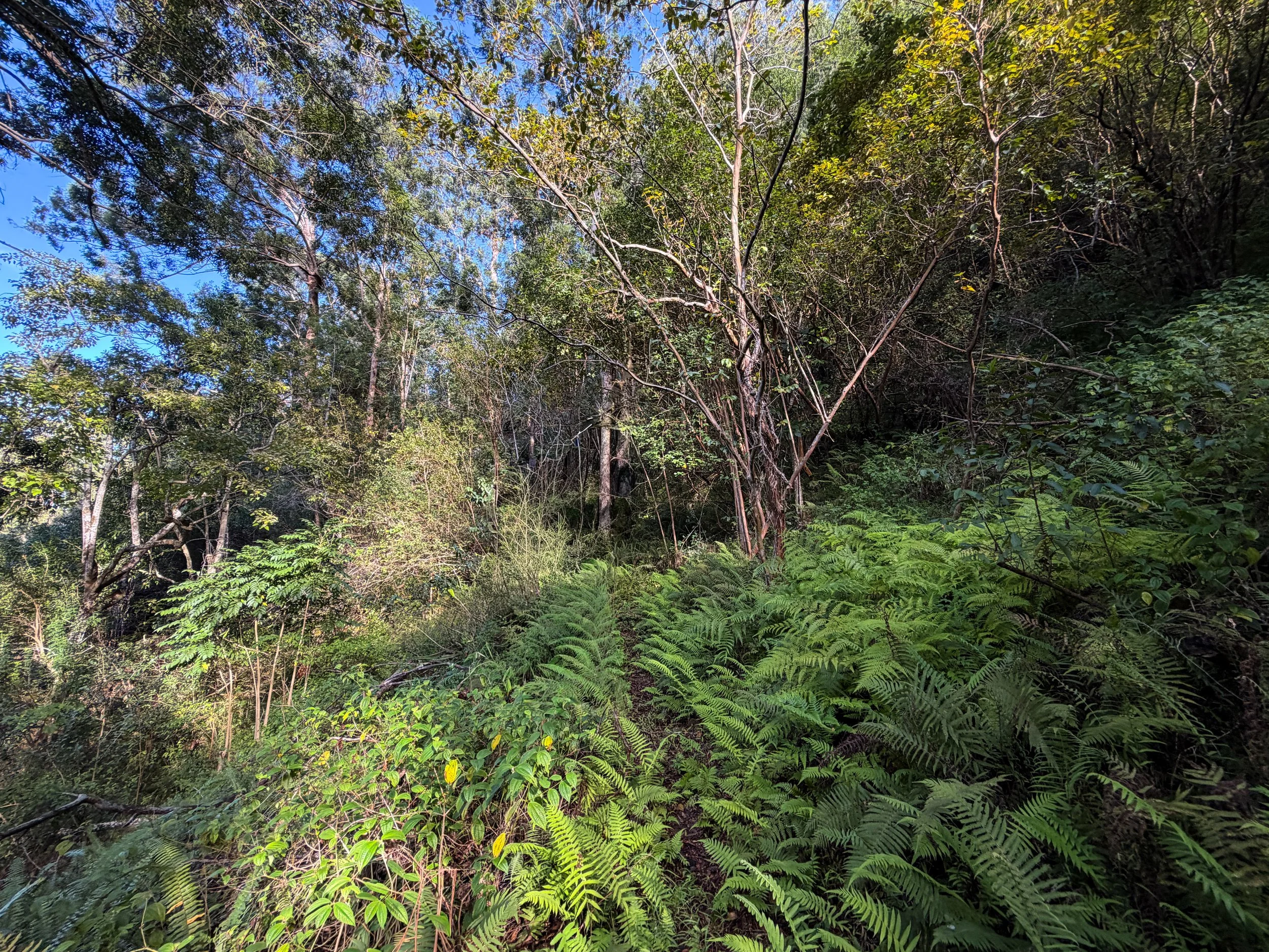 Mokuleia Hike Oahu Hawaii