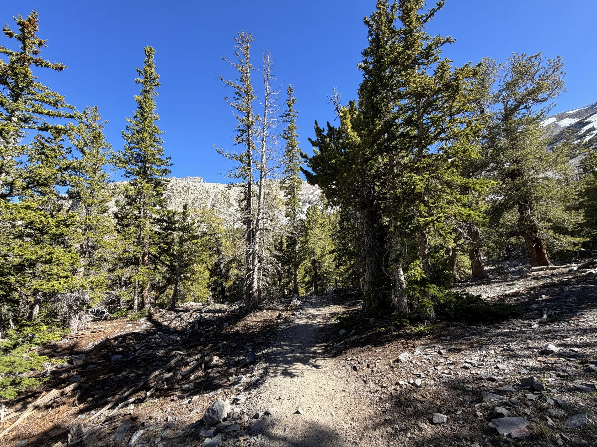 Alpine Lakes Loop Trail Great Basin National Park Nevada
