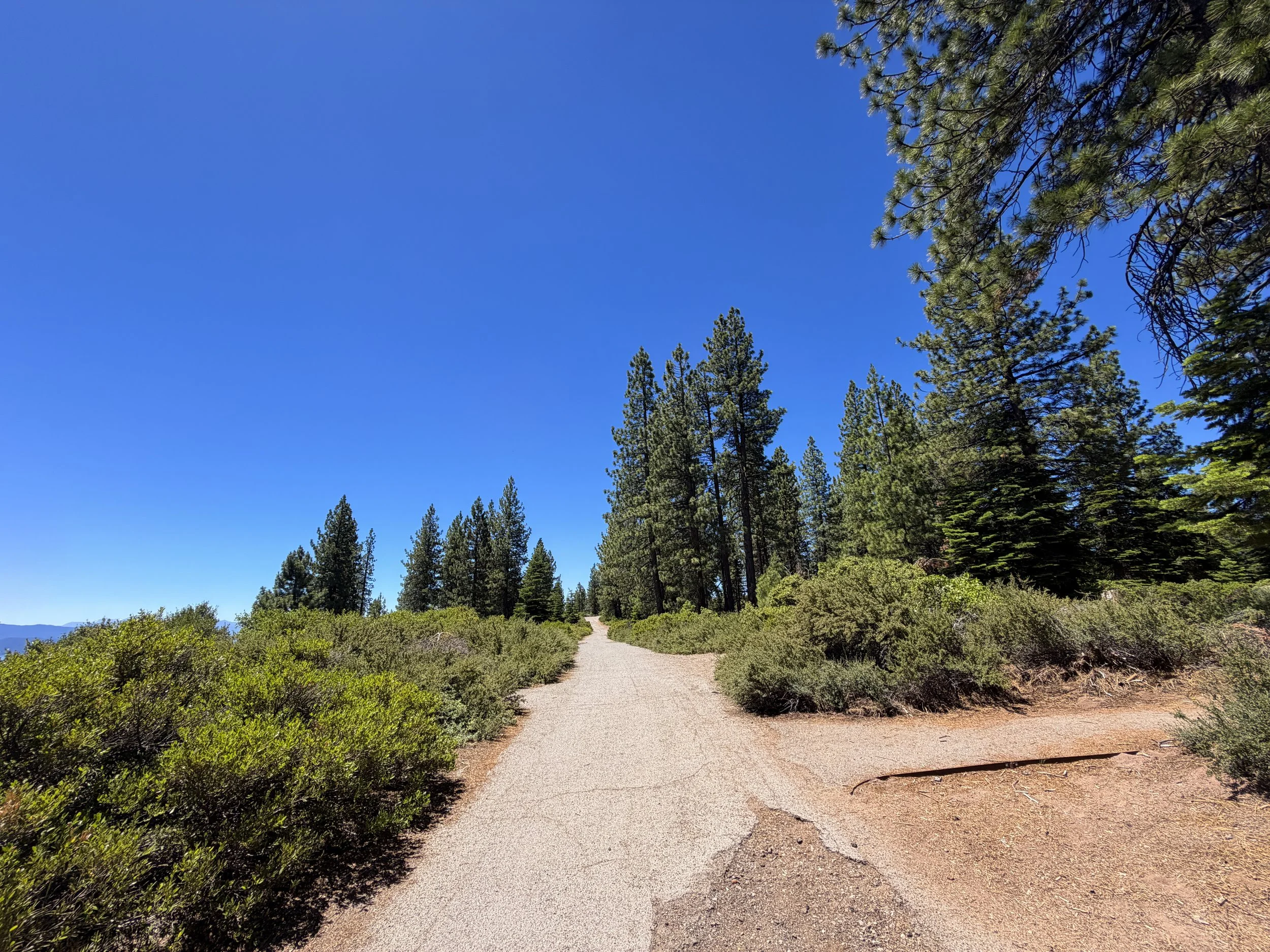 Stateline Lookout Trail Lake Tahoe California