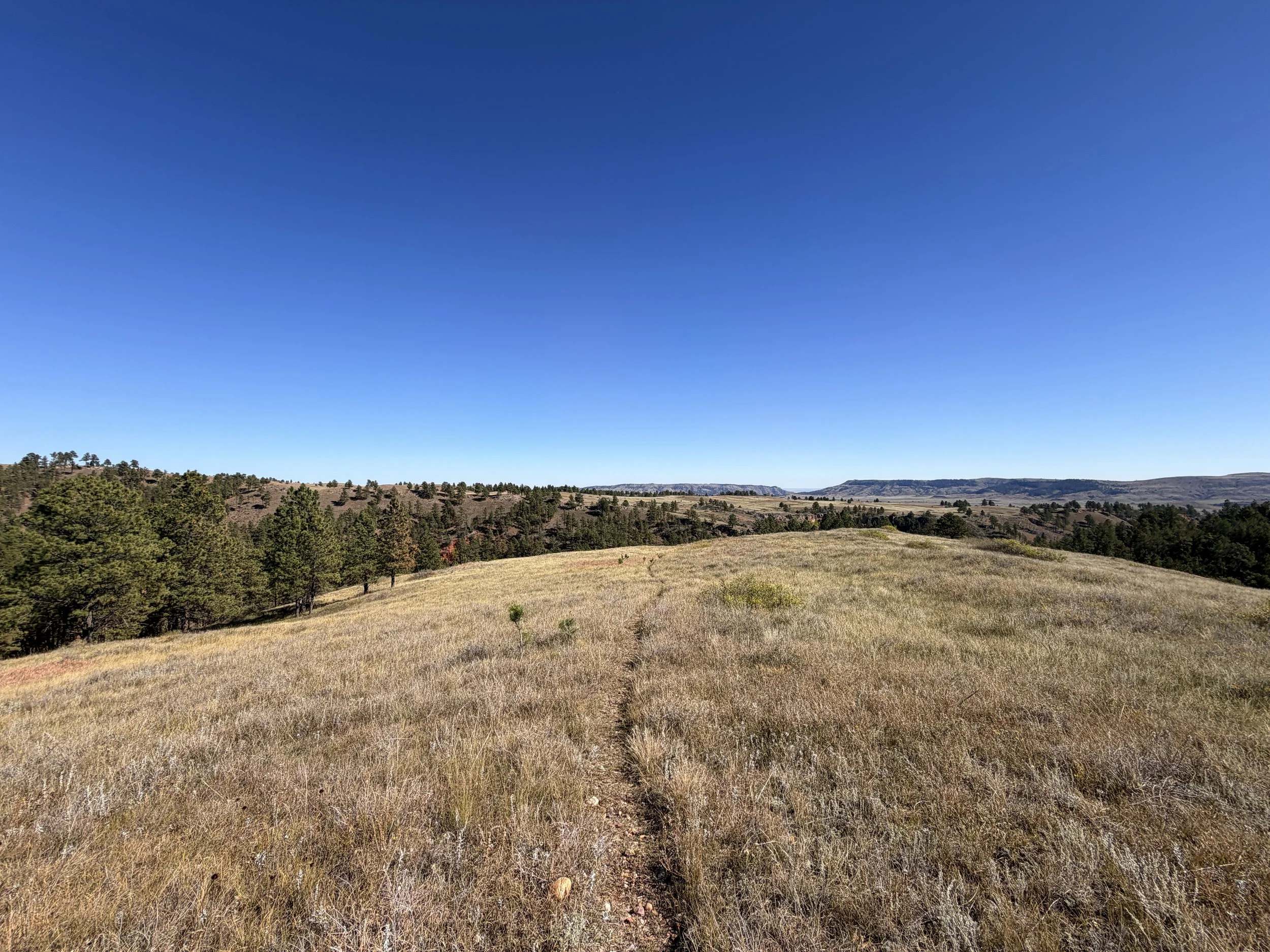 East Bison Flats Hike Wind Cave National Park South Dakota