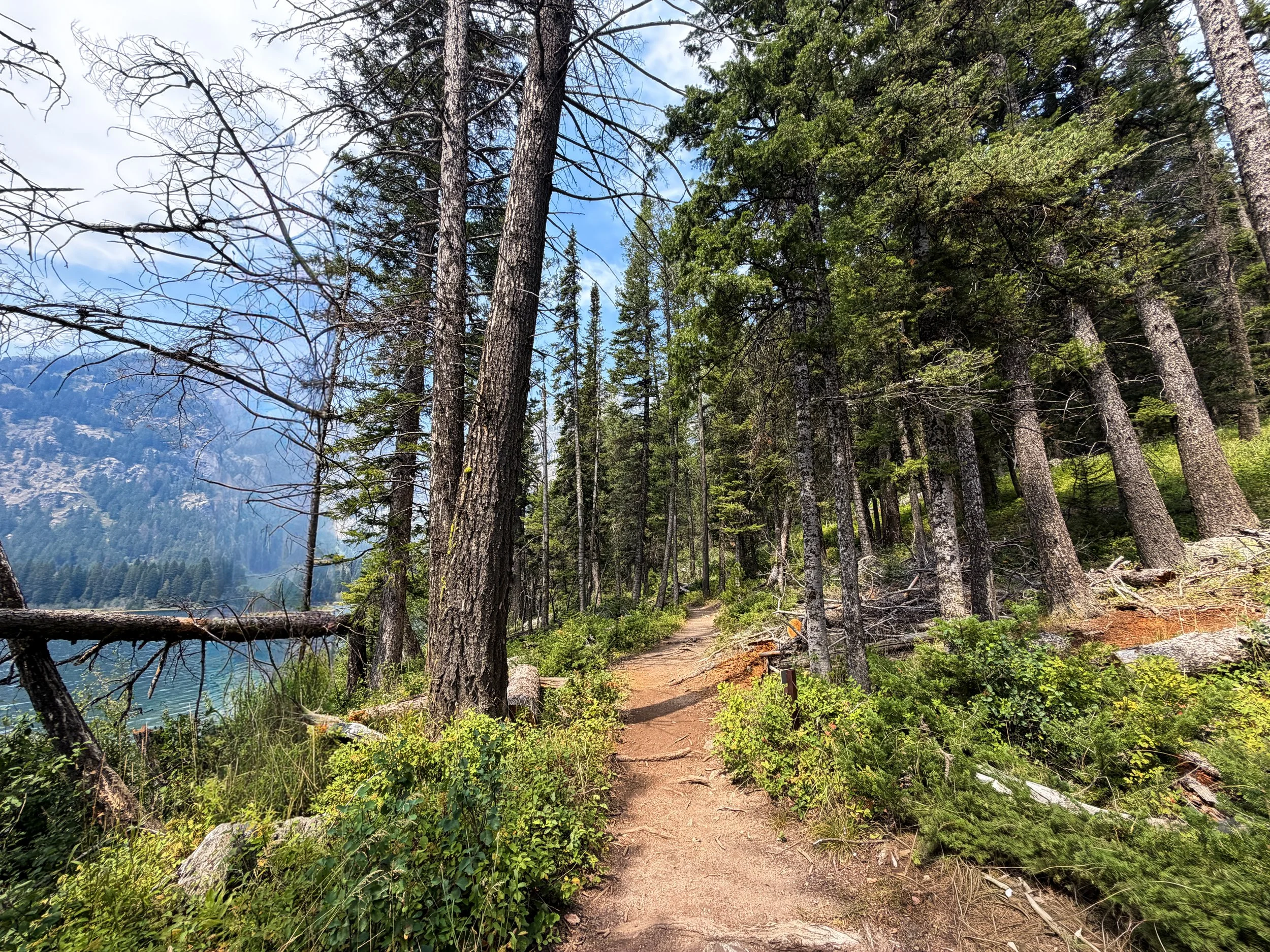 Phelps Lake Loop Trail Grand Teton National Park Wyoming