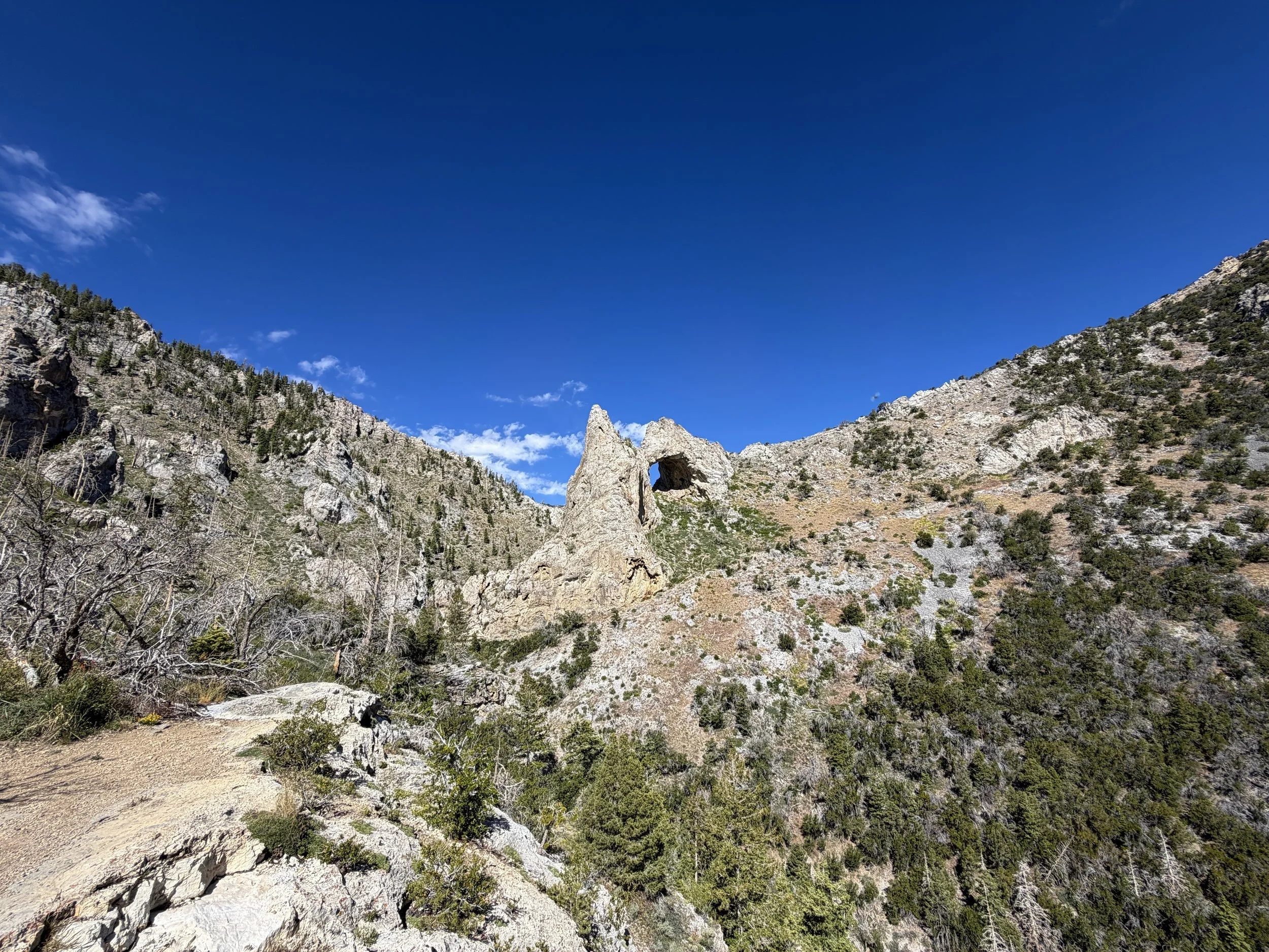 Lexington Arch Trail Bench Great Basin National Park Nevada