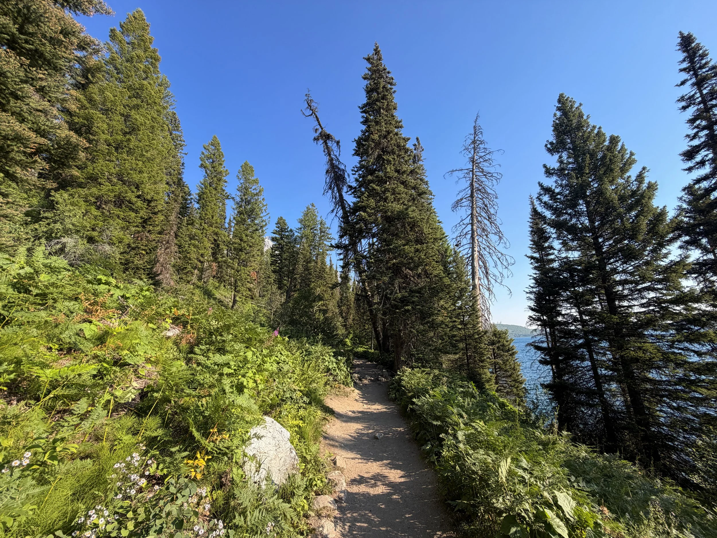 Hidden Falls Trail Grand Teton National Park Wyoming