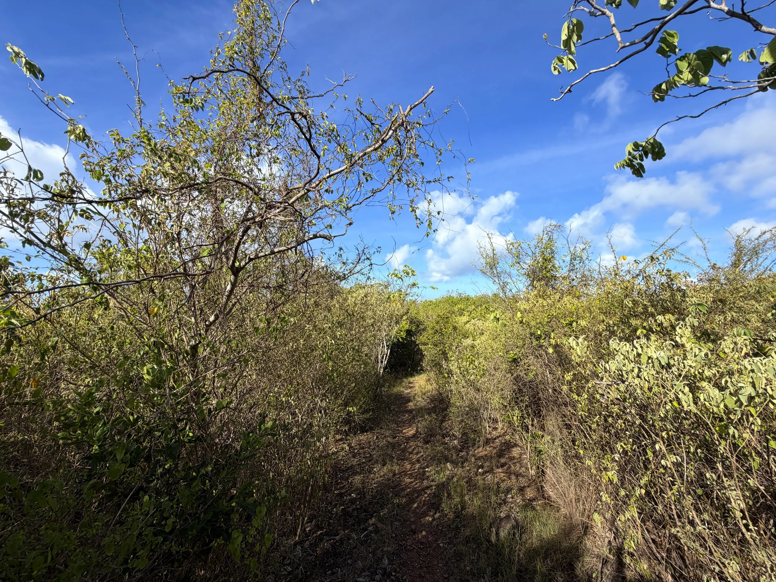 Tektite Trail Virgin Islands National Park
