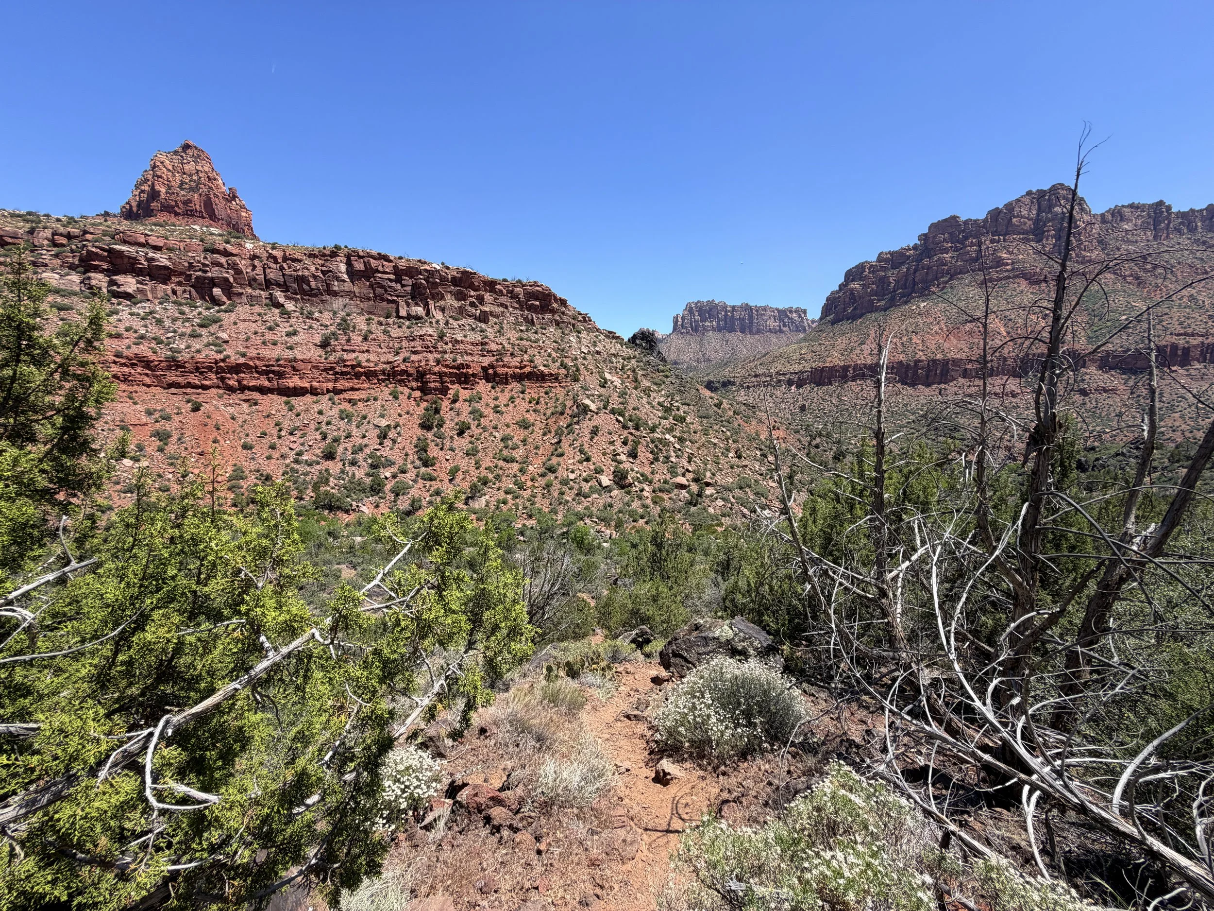 Grapevine Trail to Left Fork Falls Zion National Park Utah
