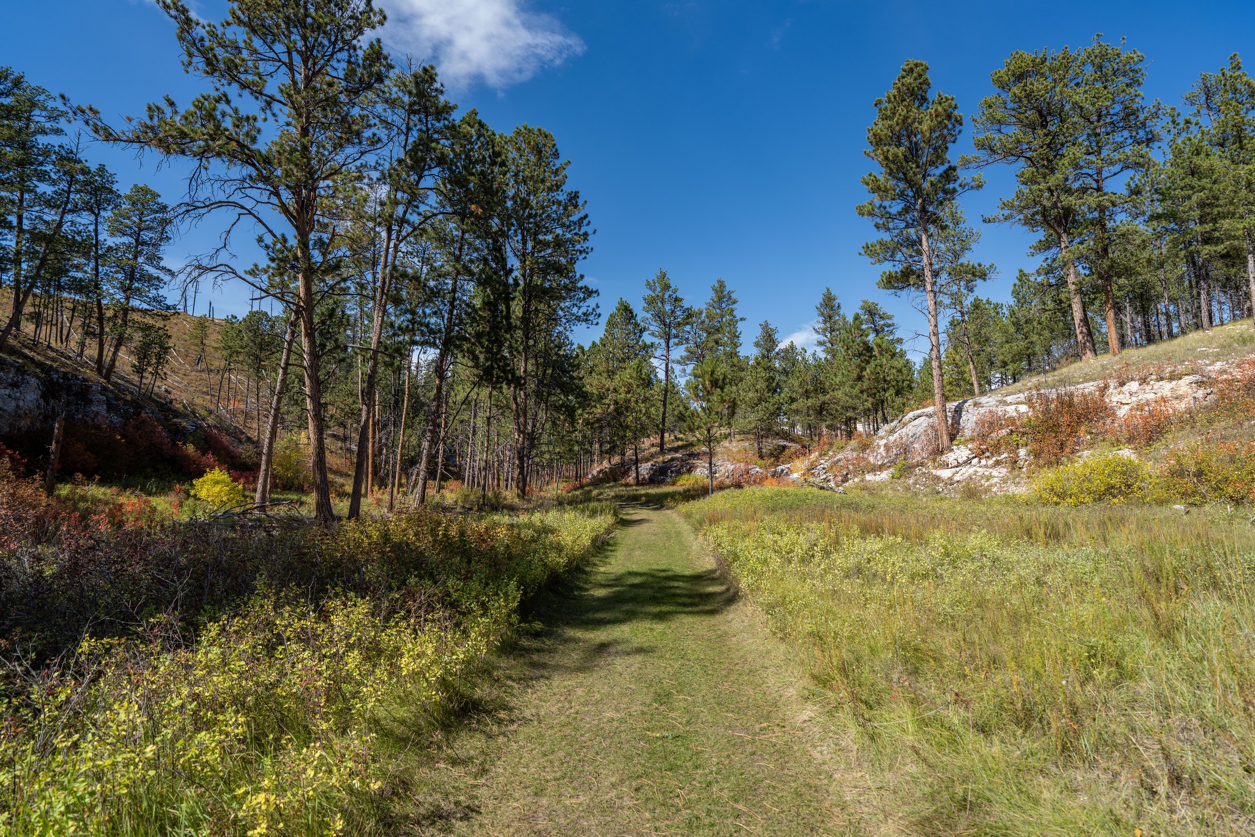 Canyons Trail Jewel Cave National Monument Black Hills South Dakota