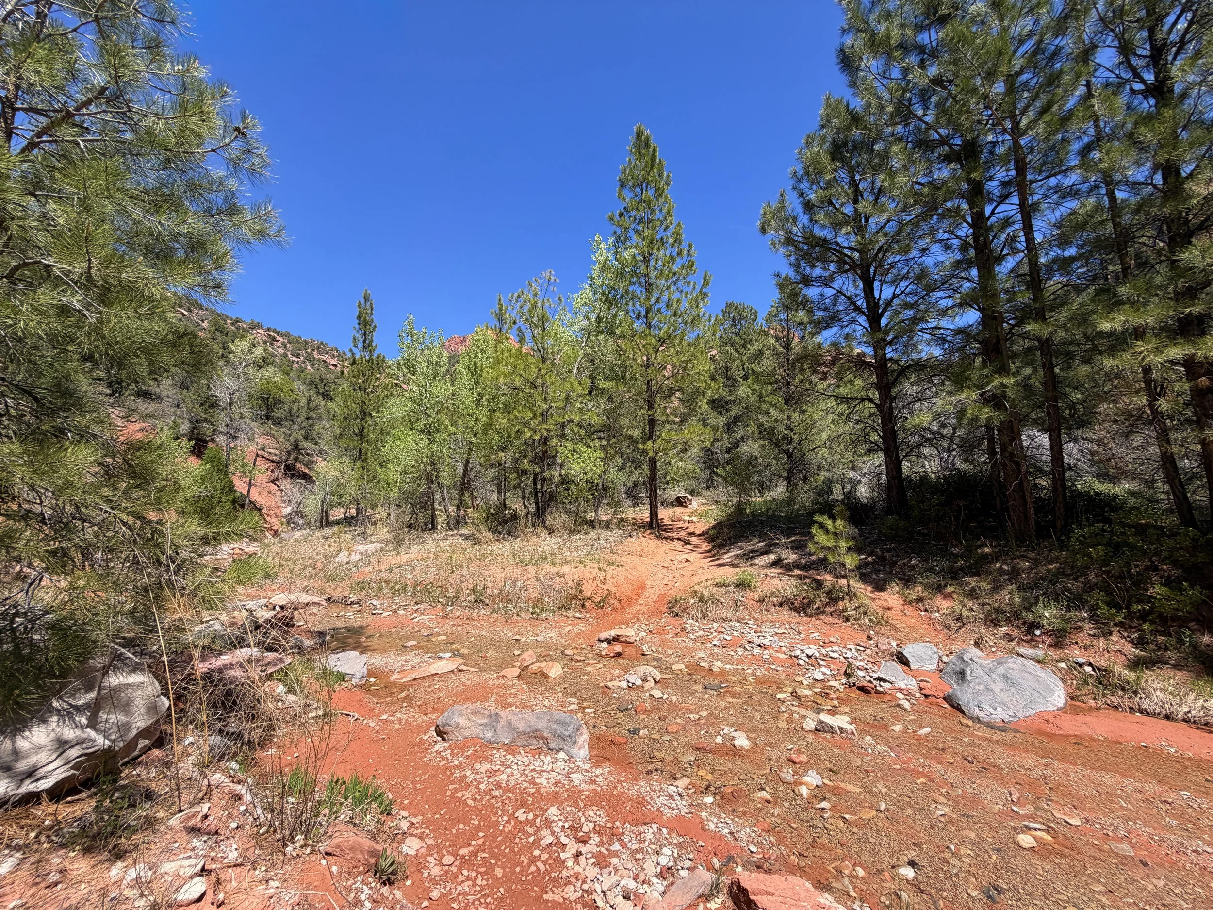 Middle Taylor Creek Trail Zion National Park Utah