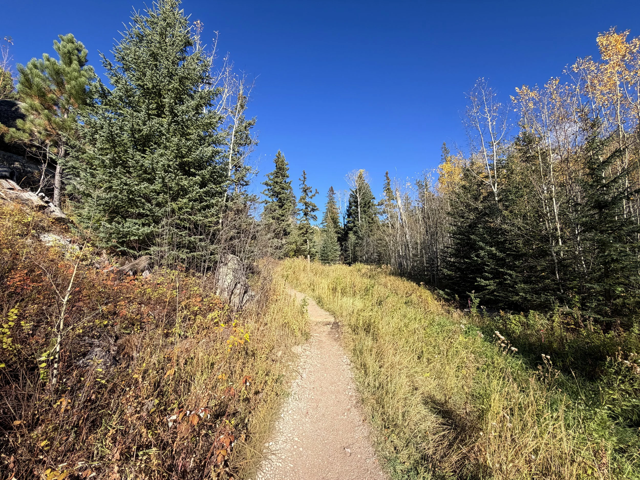 Little Devils Tower Trail Custer State Park Black Hills South Dakota